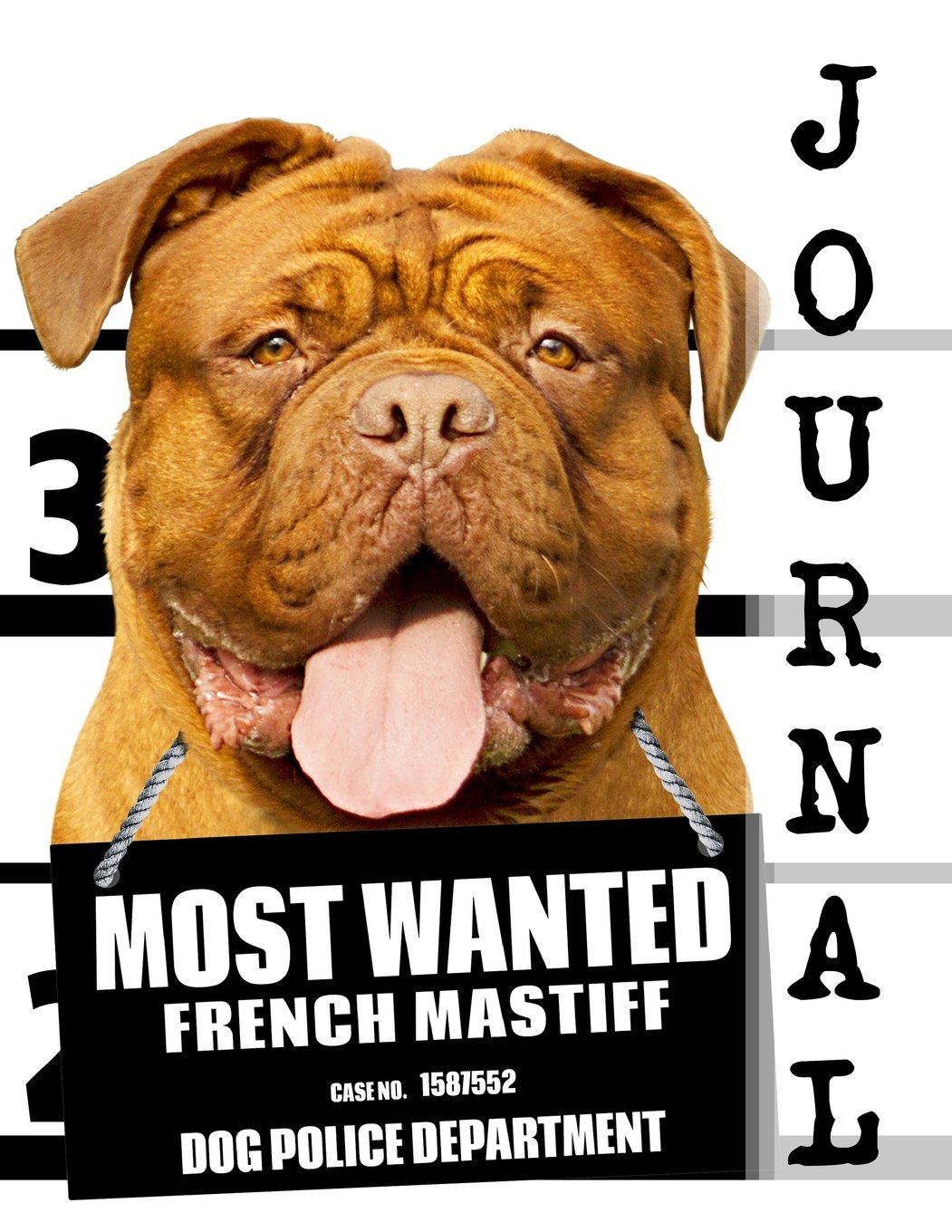 Most Wanted French Mastiff Journal: Diary Notebook: Volume 66 (Dog Journal Notebook Diaries)