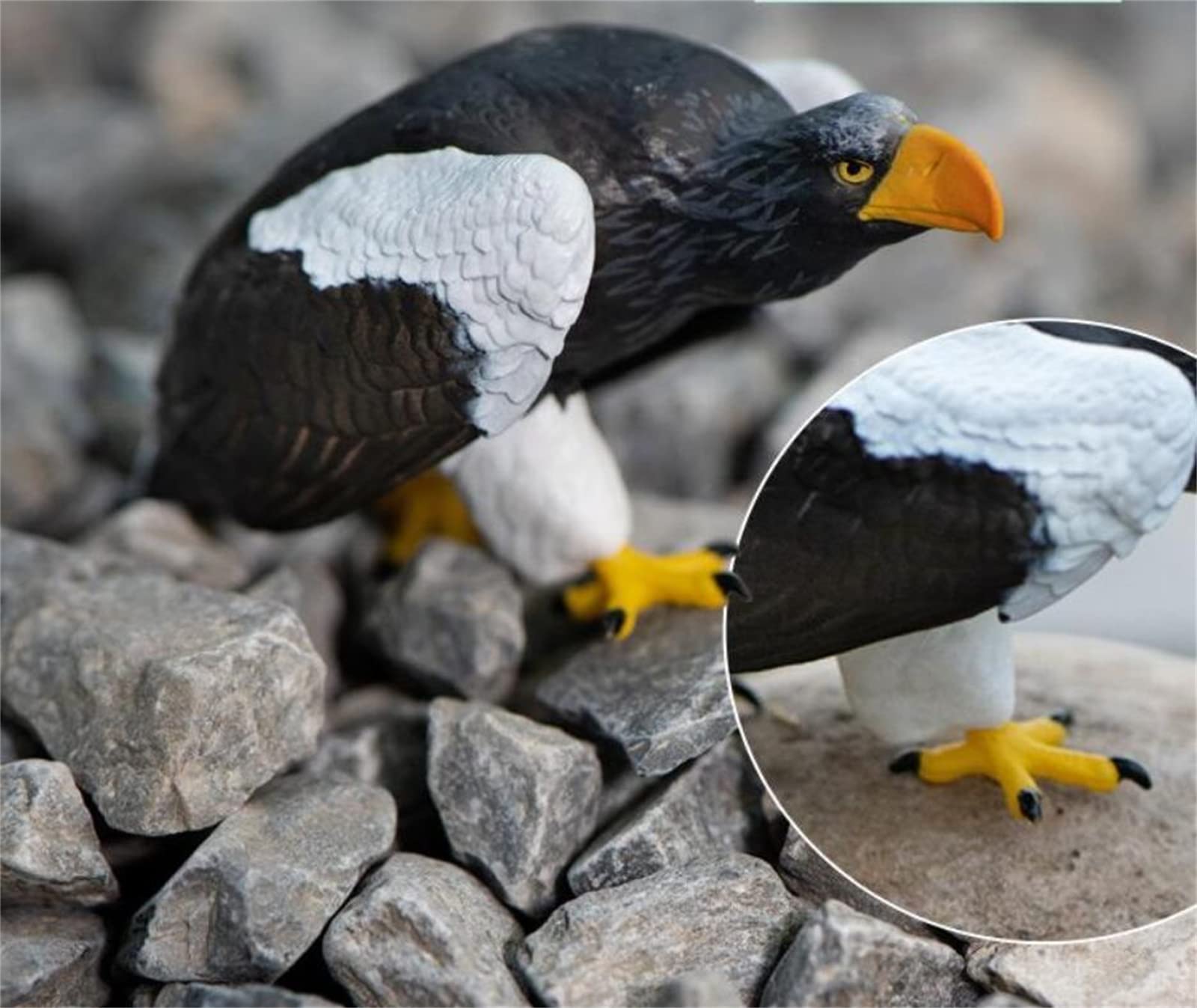 Amazon | NATURALISM 鷲 鷹 鵰 タカ目 タカ科 鳥 野生動物 リアル