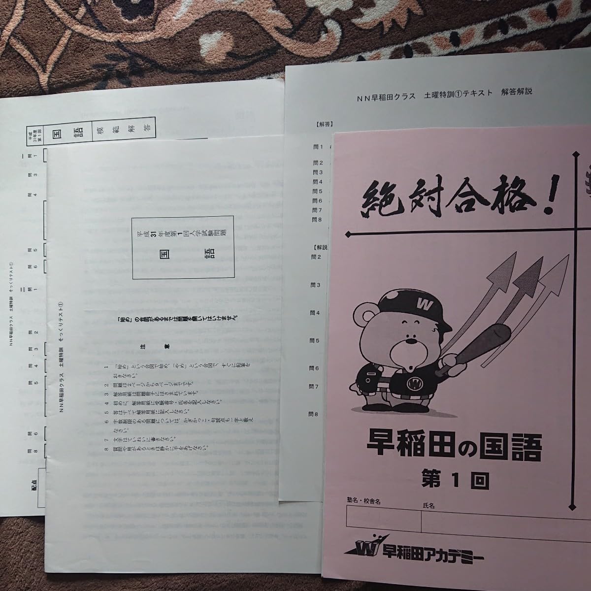 土曜集中特訓 早稲田の社会 NN早稲田 早稲田アカデミー 土特