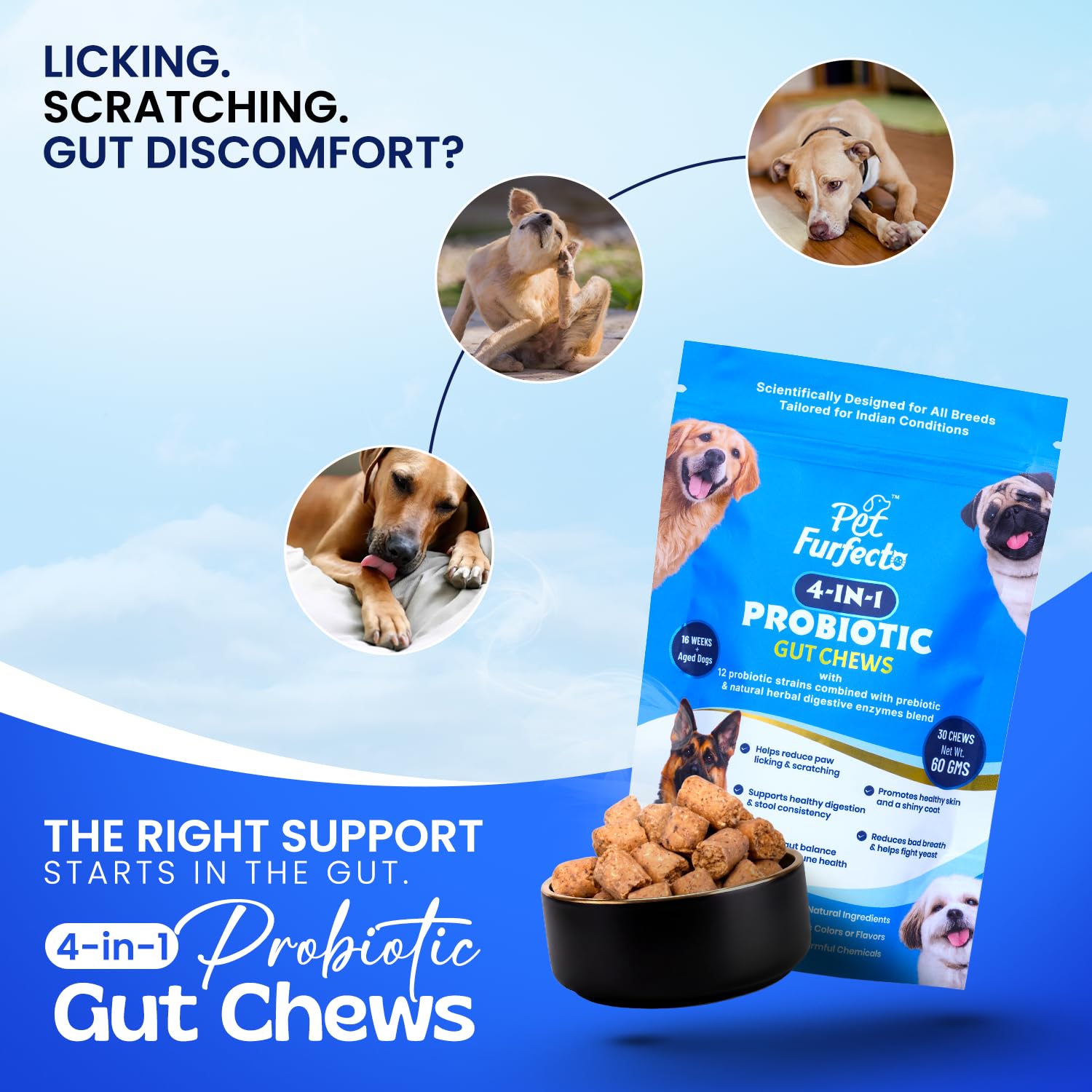 4-in-1 Probiotic Gut Health Chews for Dogs | 60 Chews + Free QR Dog Tag — Amazon image 6
