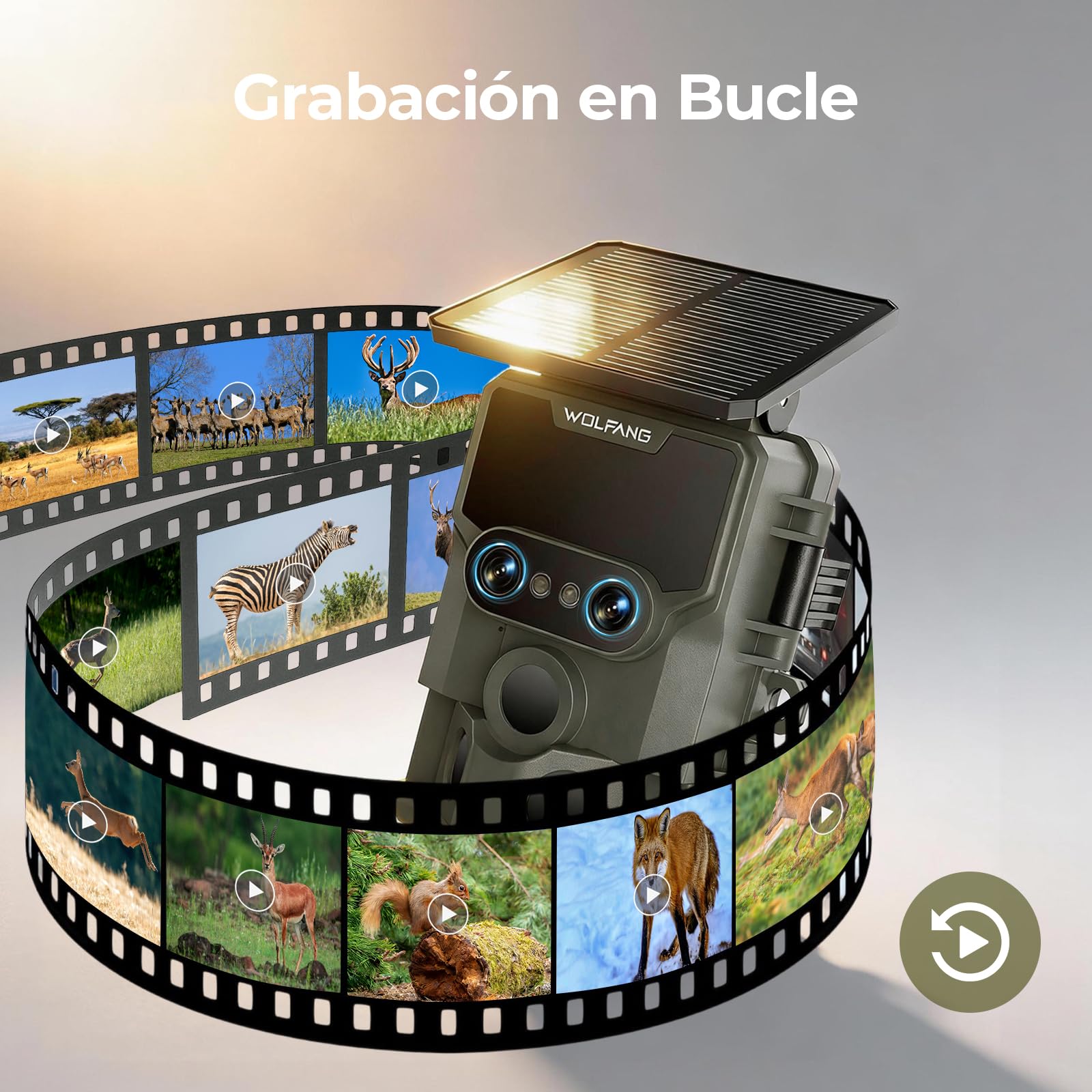 WOLFANG Cámara de Caza, Lente Dual Solar Cámara Fototrampeo 64MP 4K HD con Batería Interna de 5000mAh Ángulo de Detección de 120° Visión Nocturna Estrellada IP66 Impermeable con Tarjeta Micro SD 64GB