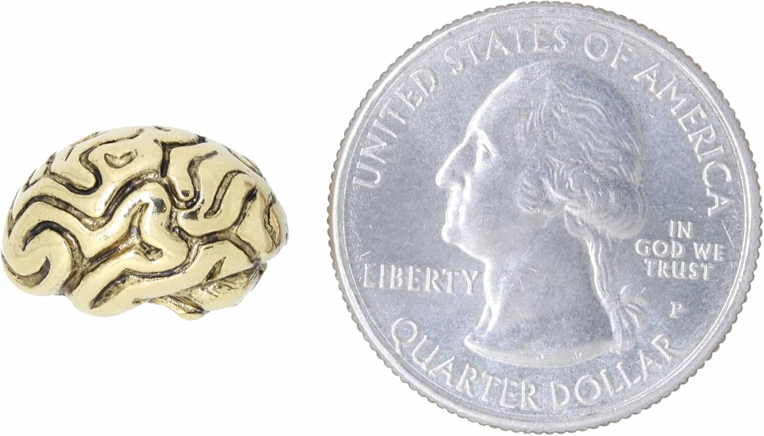 Jim Clift Design Brain Gold Lapel Pin