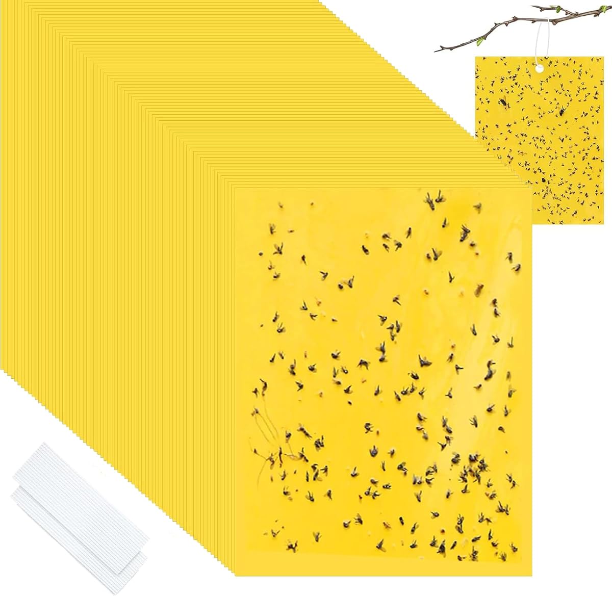 50 Pcs Dual-Sided Yellow Sticky Traps for Flying Plant Insect Such as Fungus Gnats, Leafminers, Whiteflies, Aphids, Thrips, Other Flying Plant Insects(10 x 20 cm)