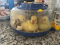 Review Image by Yensi Fajardo