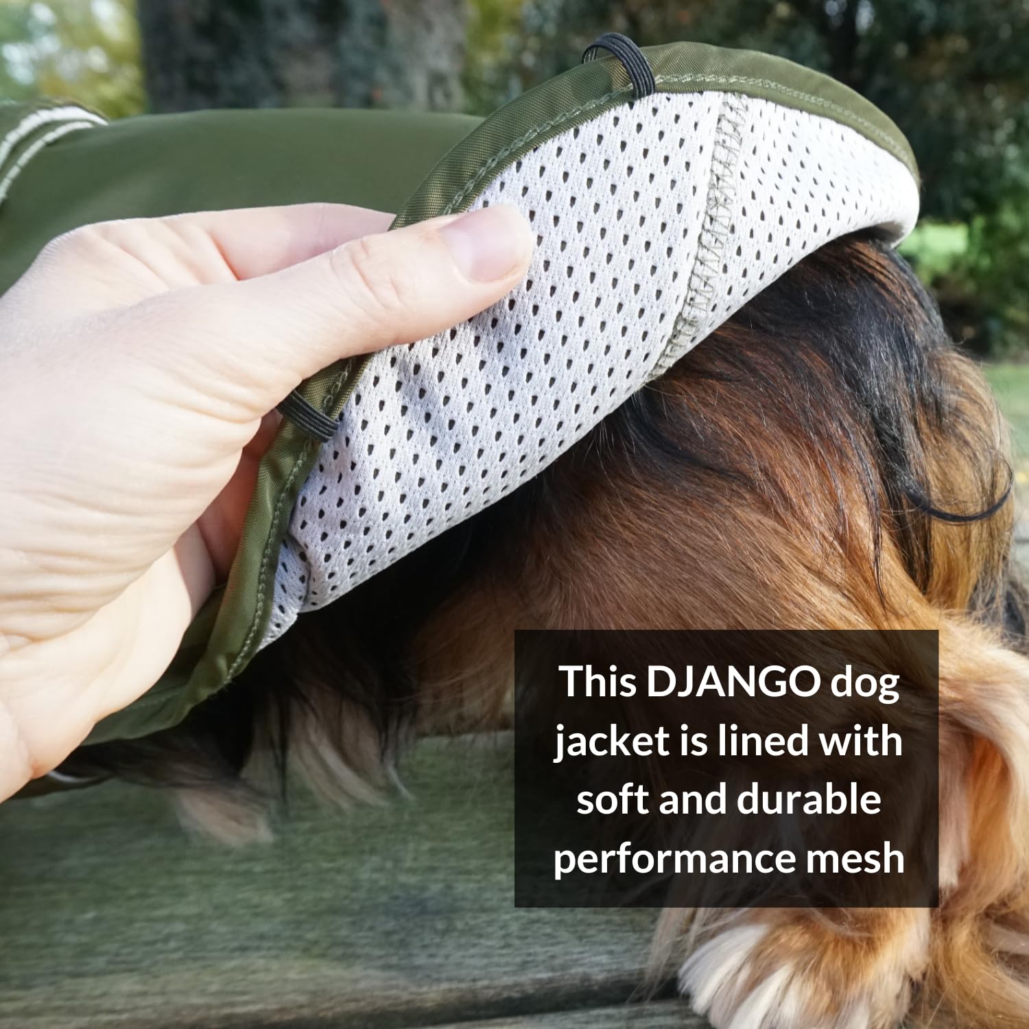DJANGO Hundejacke und Regenmantel – leichter, wasserabweisender Mantel für kleine, mittelgroße und lange Hunde wie Dackel – reflektierend, verstellbare Passform, Geschirr-kompatibel und leicht