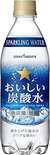 サッポロ おいしい炭酸水 500ml×24本