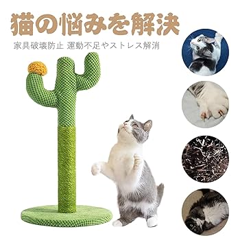 Amazon | 猫爪とぎポール 猫 爪研ぎ サボテン キャットタワー 猫