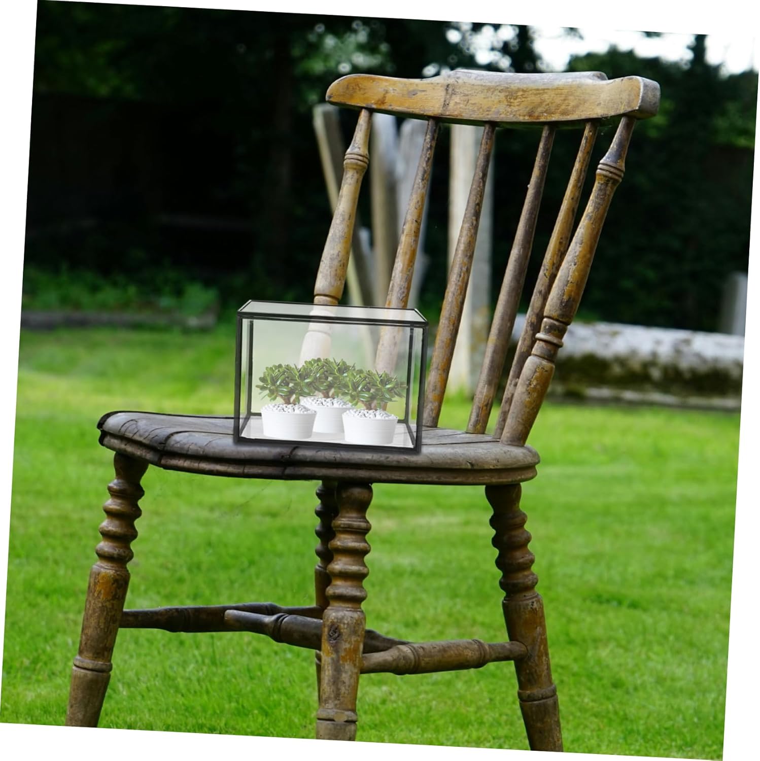 BESTonZON Clear Glass Terrarium for Succulents Micro Landscape Holder Stylish Tabletop Planter for Home Office Balcony Decor Durable Elegant Design