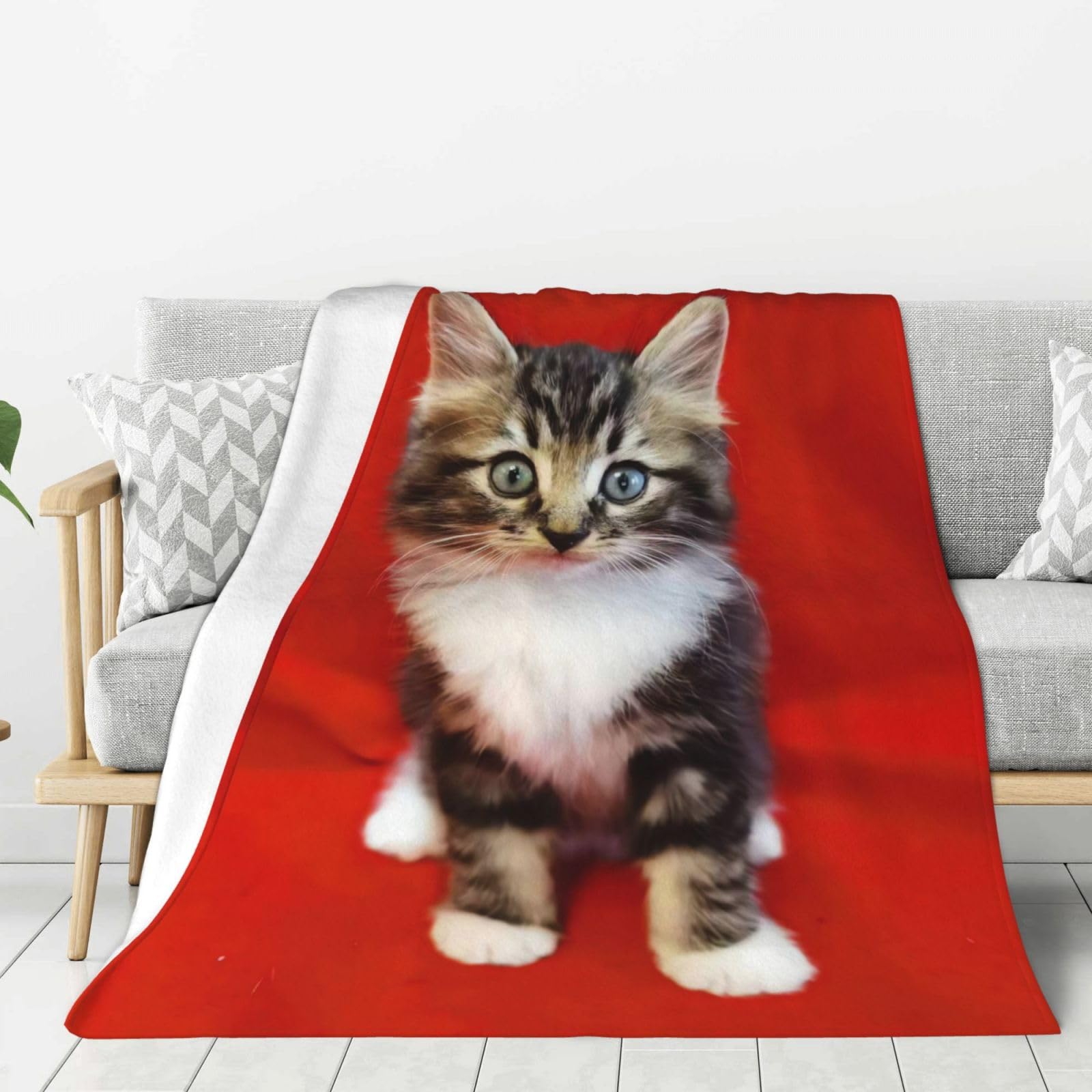 Couverture plaid chat flanelle légère canapé lit voyage 152x127 cm confortable