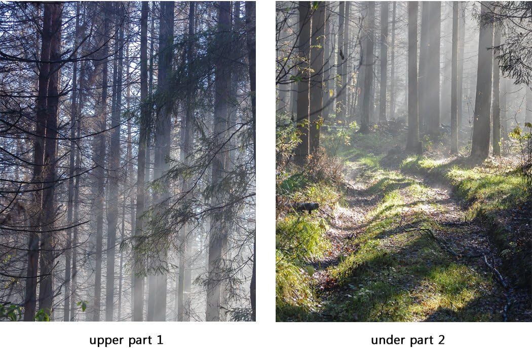 Door Wall Sticker Path Through a Forest - Peel & Stick Repositionable Fabric Mural 31" w x 79" h (80 x 200cm)