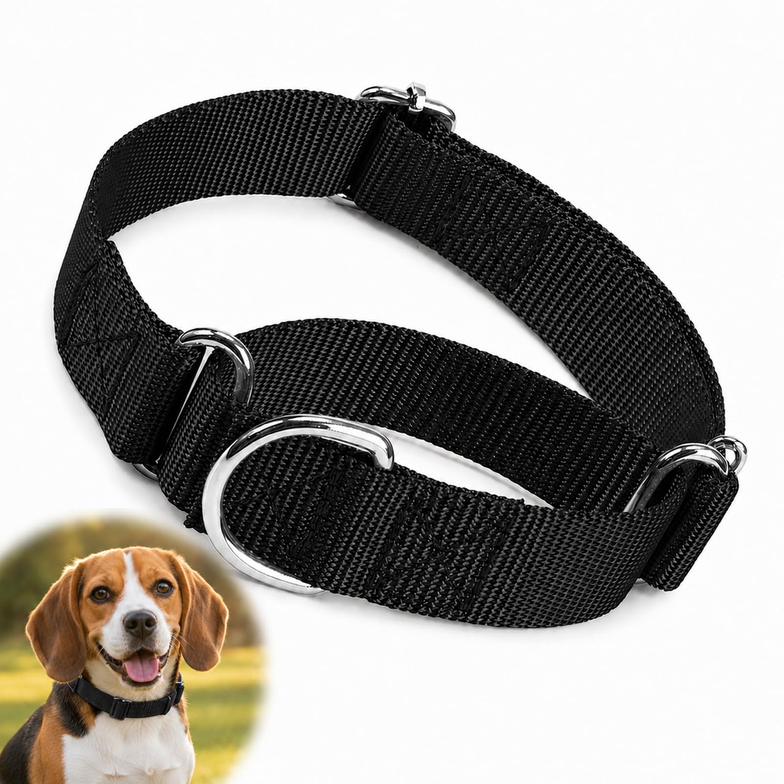 Training Choke Collar for Medium Dogs, Adjustable Nylon Collar for Pet Neck Sizes 10-19 Inches, Multiple Colour Options, Durable Comfortable Everyday Wear with Gentle Shock Absorption