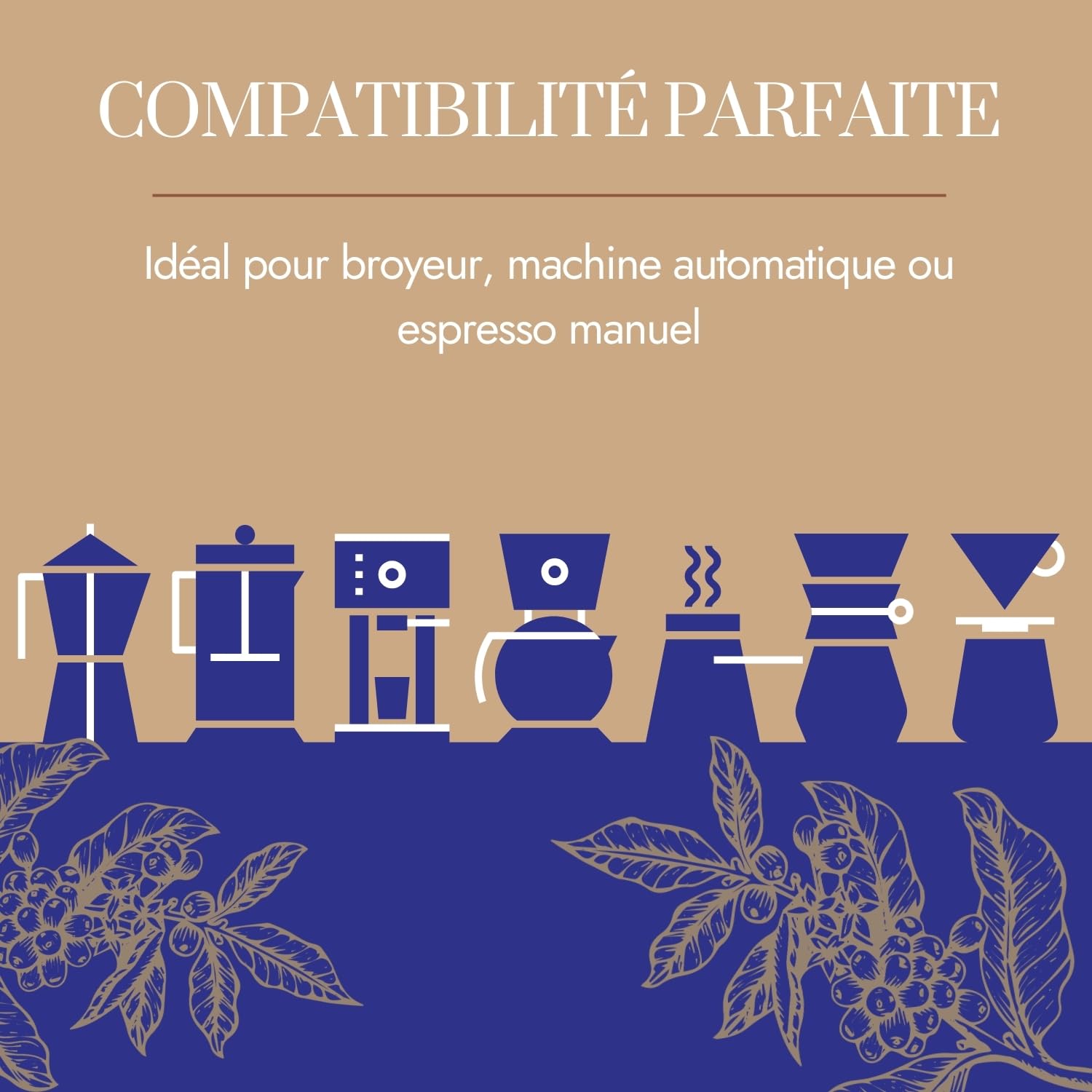 Café Bonnac – Café Moulu Moka Éthiopie Sidamo 1kg | 100% Arabica De Spécialité | Arômes Floraux Et Notes D’Agrumes | Torréfaction Artisanale Française | Idéal Machine À Café Grain