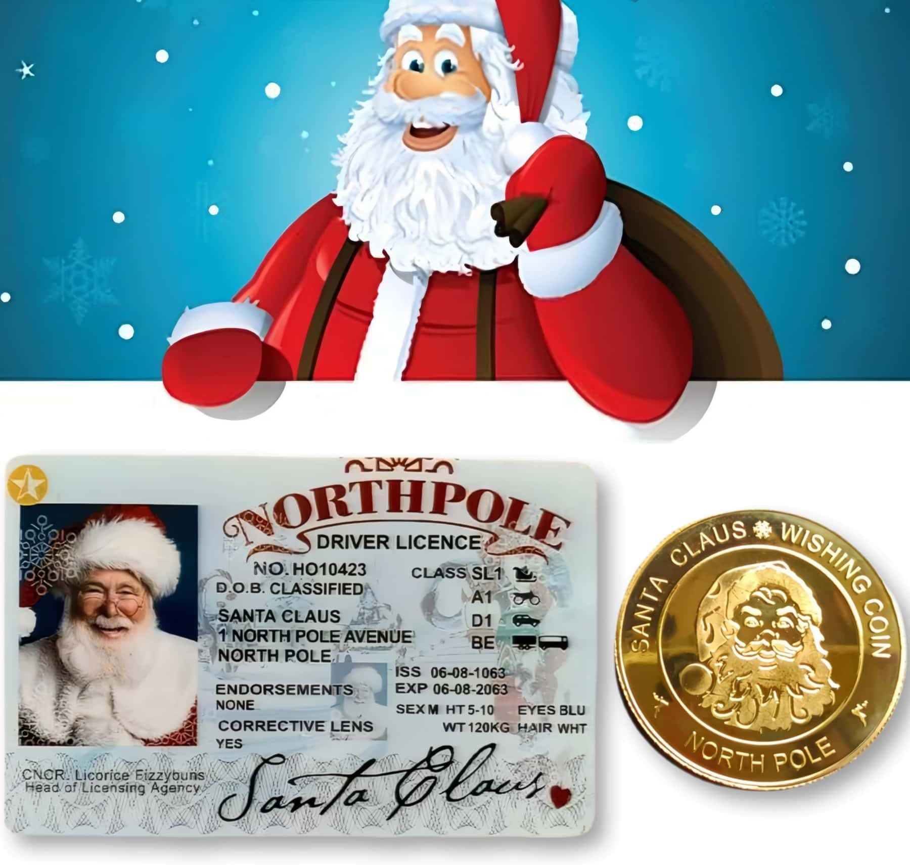 Christmas Morning Stocking Stuffers for Kids, Santa's Lost Sleigh Drivers License ID and Gold Wishing Coin sets, Funny Gifts for Kids, Toddler, Children, Boys, Girls (Age 3-8 Years Old)