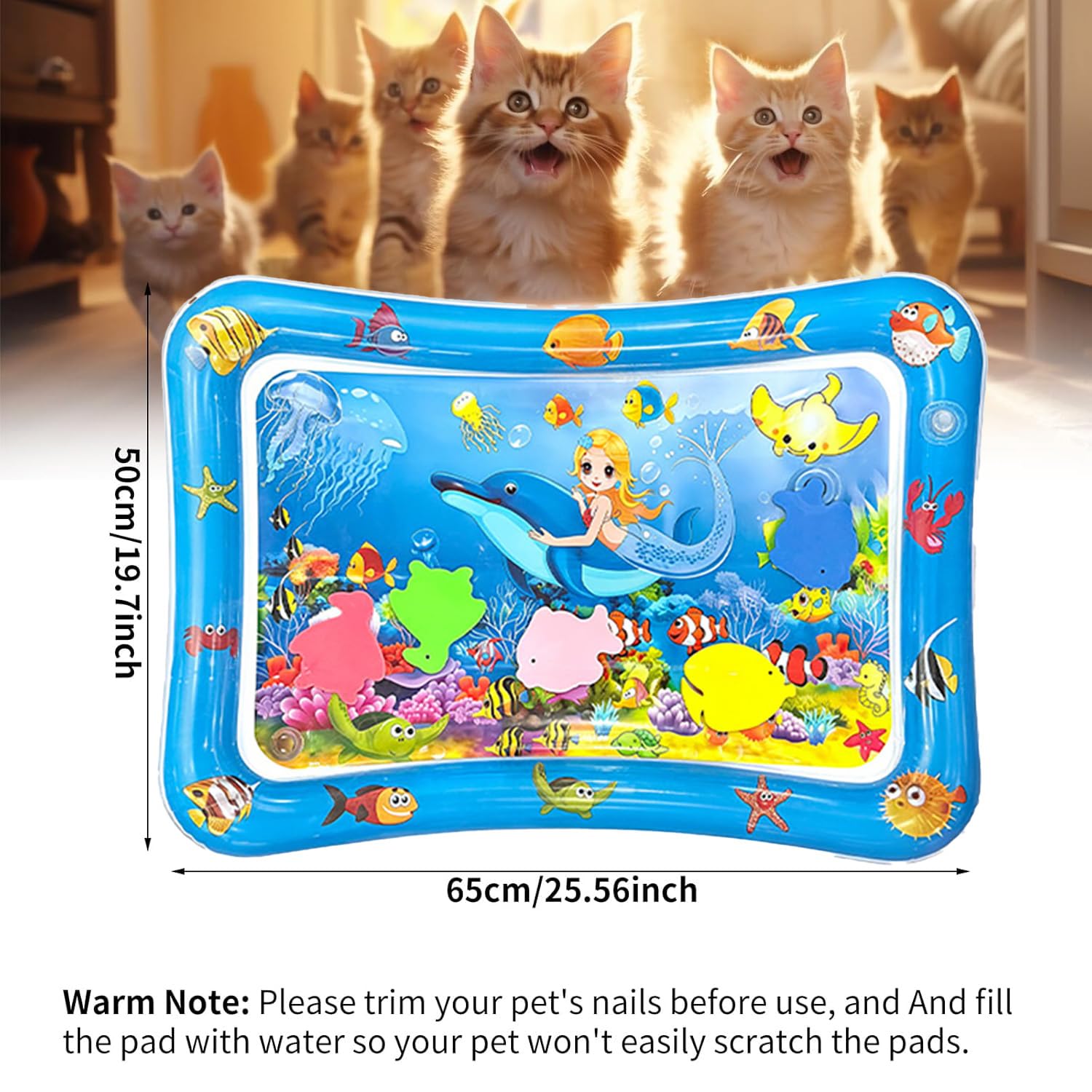 View 7