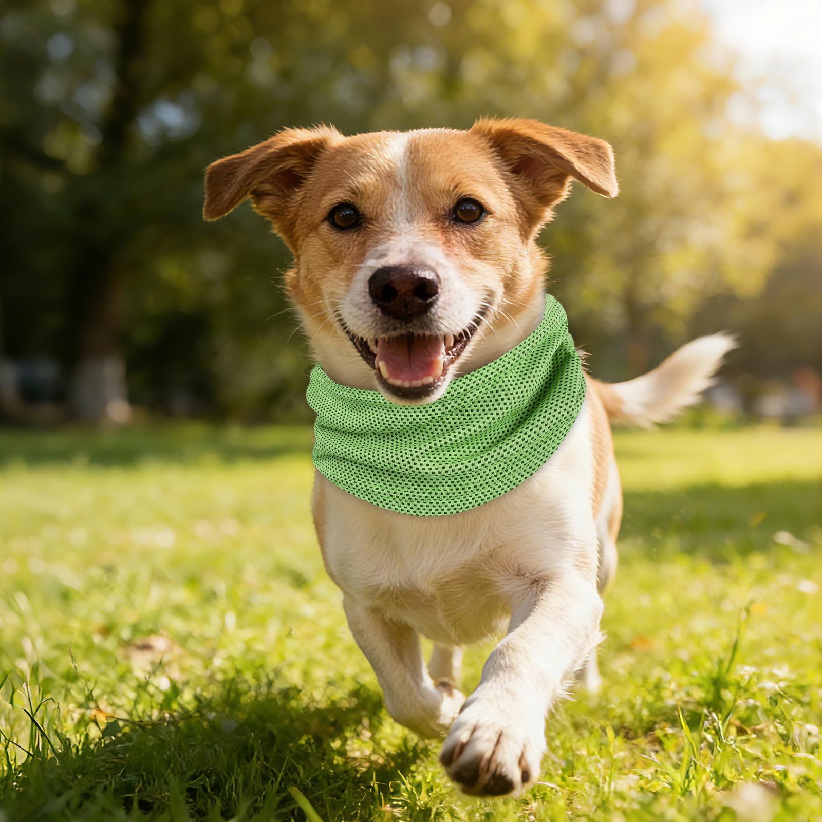 Collare Refrigerante per Cani, Bandana Rinfrescante Traspirante per Animali Domestici Estate