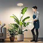 Grow Lights for Indoor Plants, Full Spectrum Plant Lights for Indoor Growing with 6/12/16H Timer, 3 Color Modes, 5 Brightness, 10