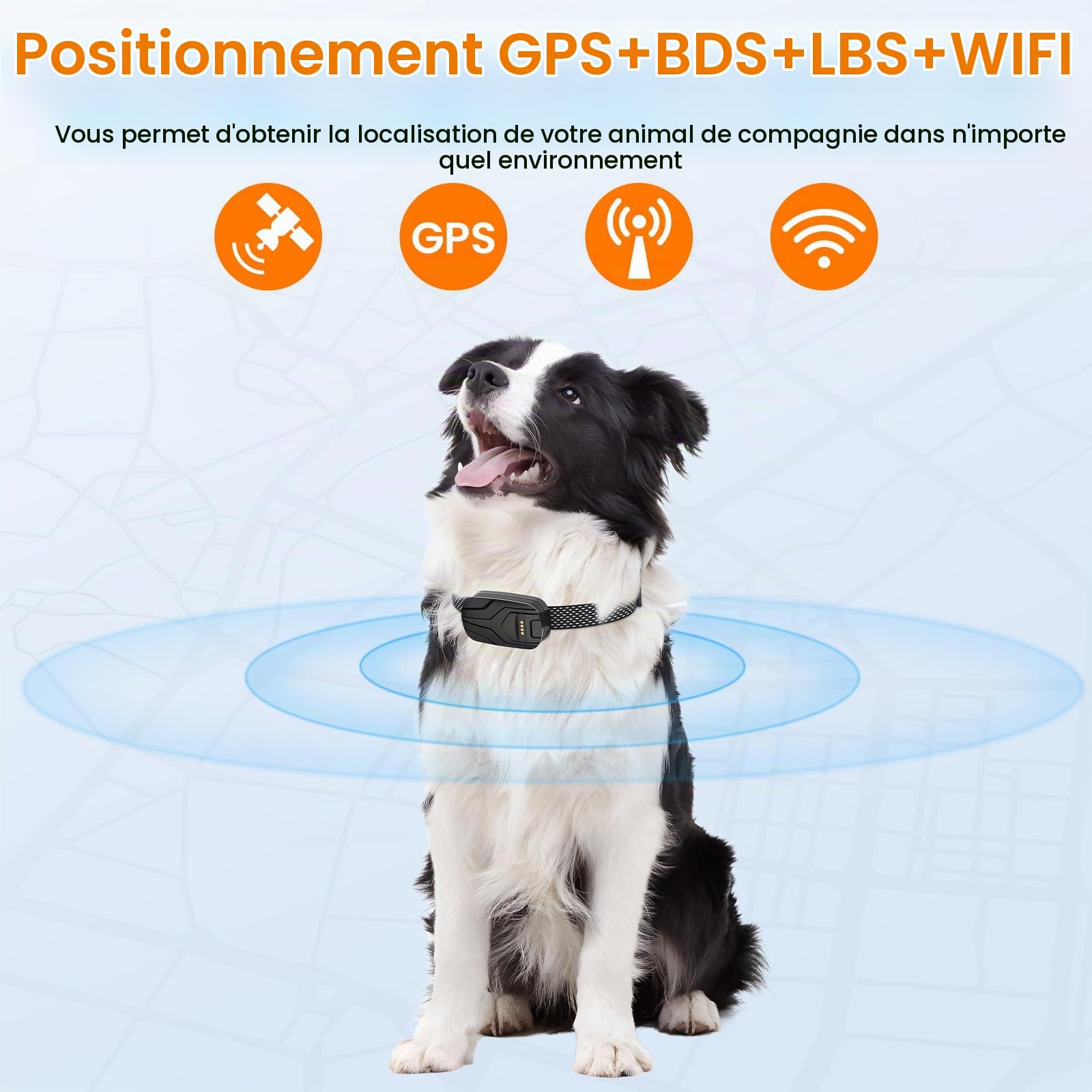 Collier GPS pour Chiens, Dog Tracker, GPS+WiFi+LBS Localisation Globale en Direct, Plusieurs Alertes Intelligentes, Lecture de Trace Historique, Surveillance de l'activité, rappel vocal à dist