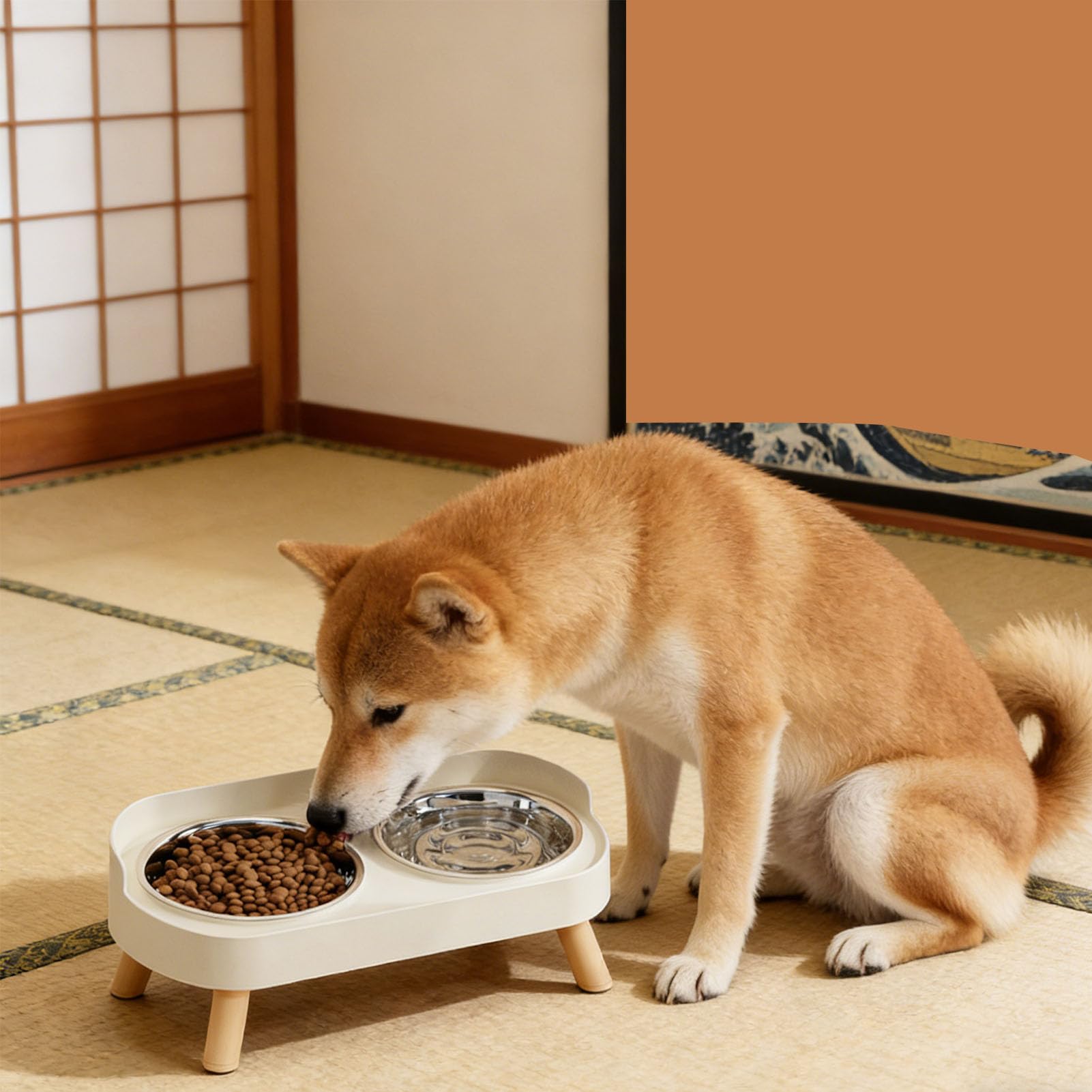 Fockety Comederos elevados para Perros, Juego de comederos y bebederos elevados de Acero Inoxidable con Soporte Antideslizante, para Perros pequeños y medianos Gatos Adultos