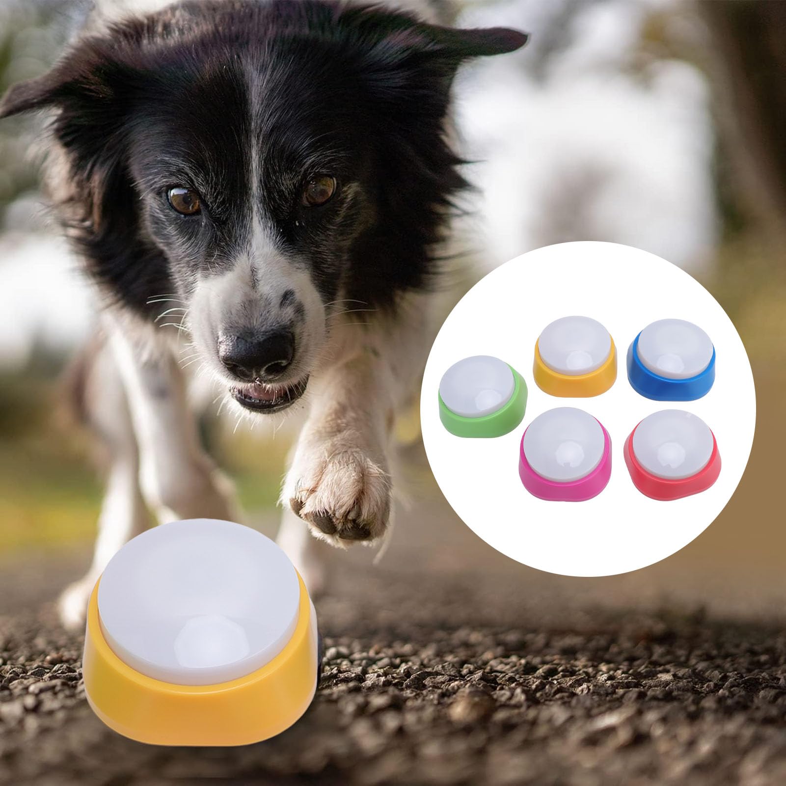 5 zumbadores de entrenamiento para mascotas, color verde, para entrenamiento de animales, para oficina, aula, perro, familia, color rojo, para oficina en casa, controladores