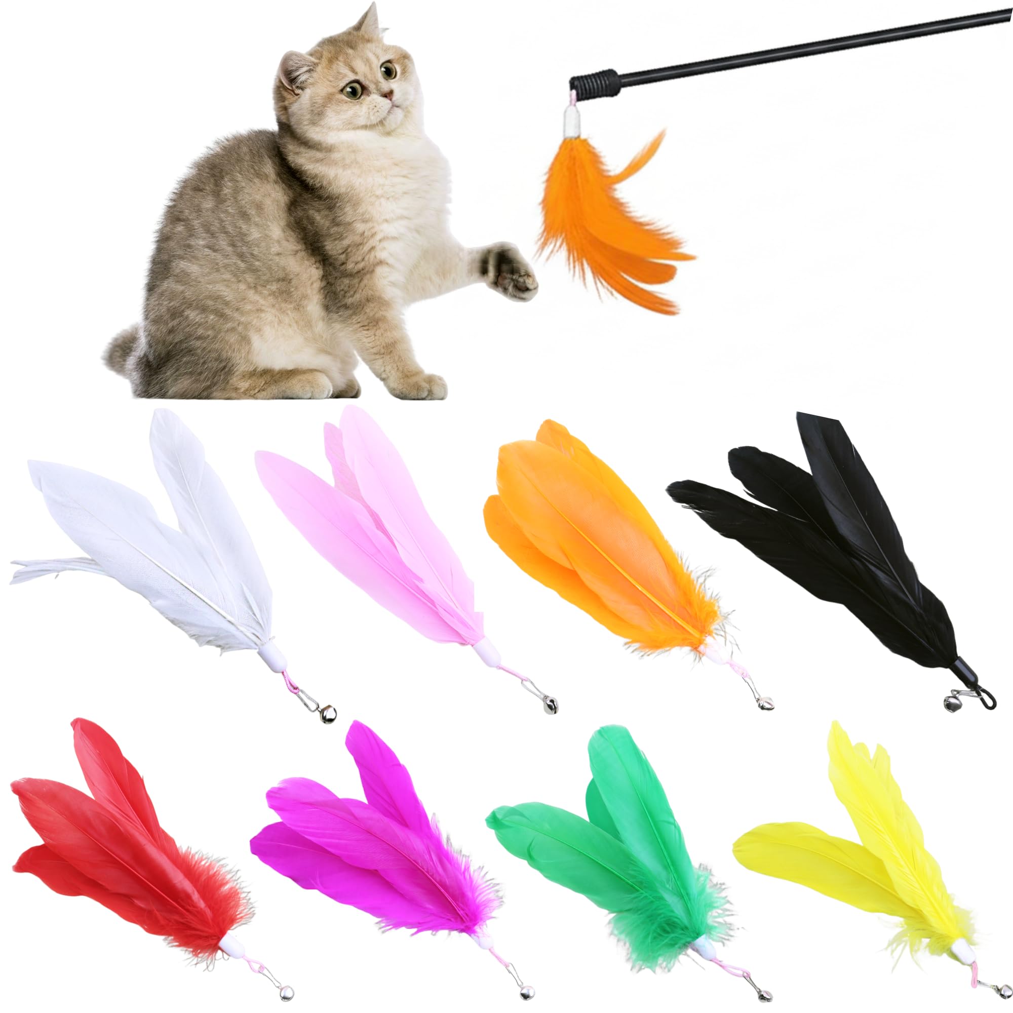 Recharges de plumes de chat pour animer vos fins de journée