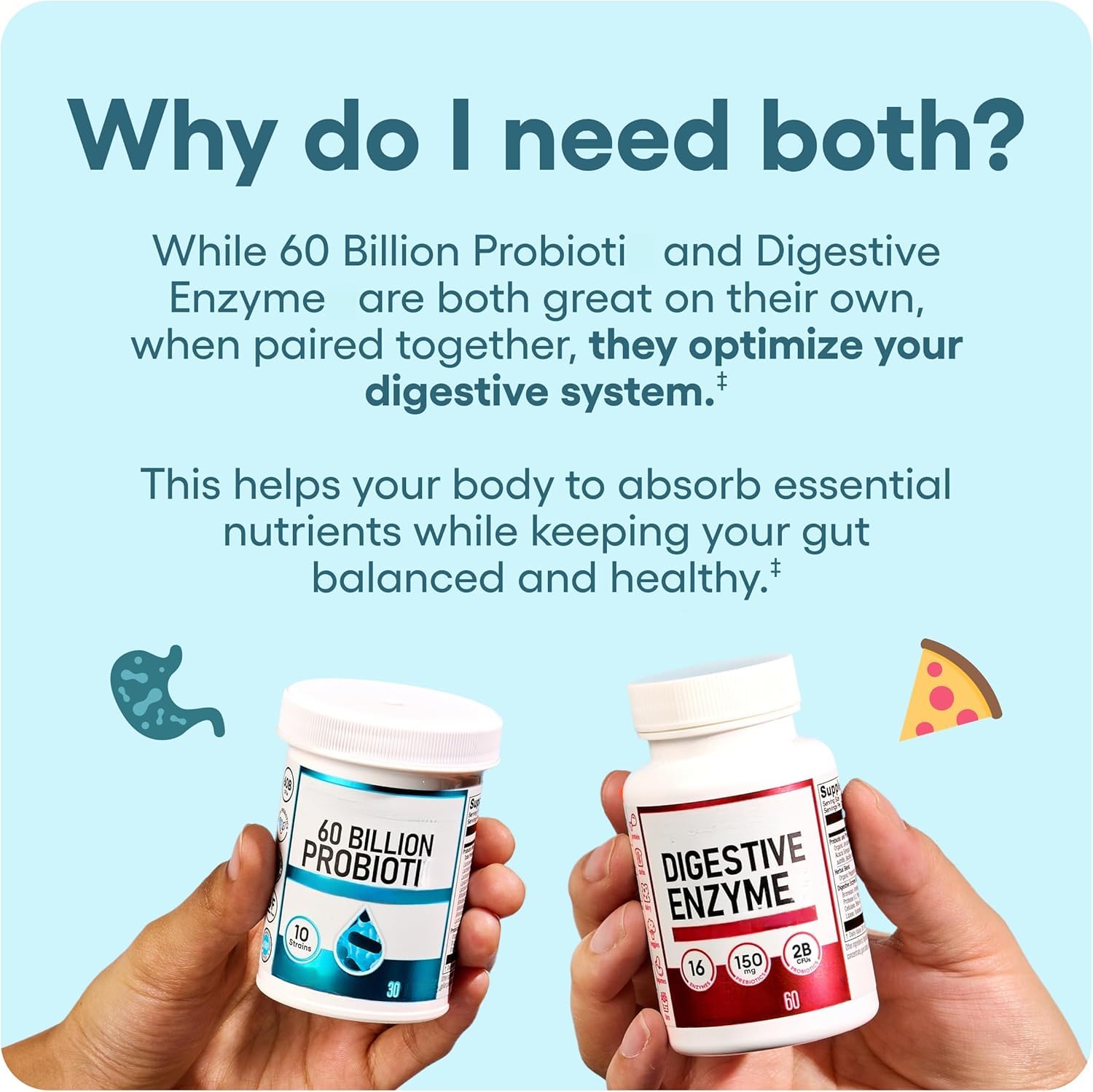 Probiotique；Enzyme digestive ， Aide à la santé intestinale | favorise une digestion douce, soulage les ballonnements et les gaz et favorise l'absorption des nutriments