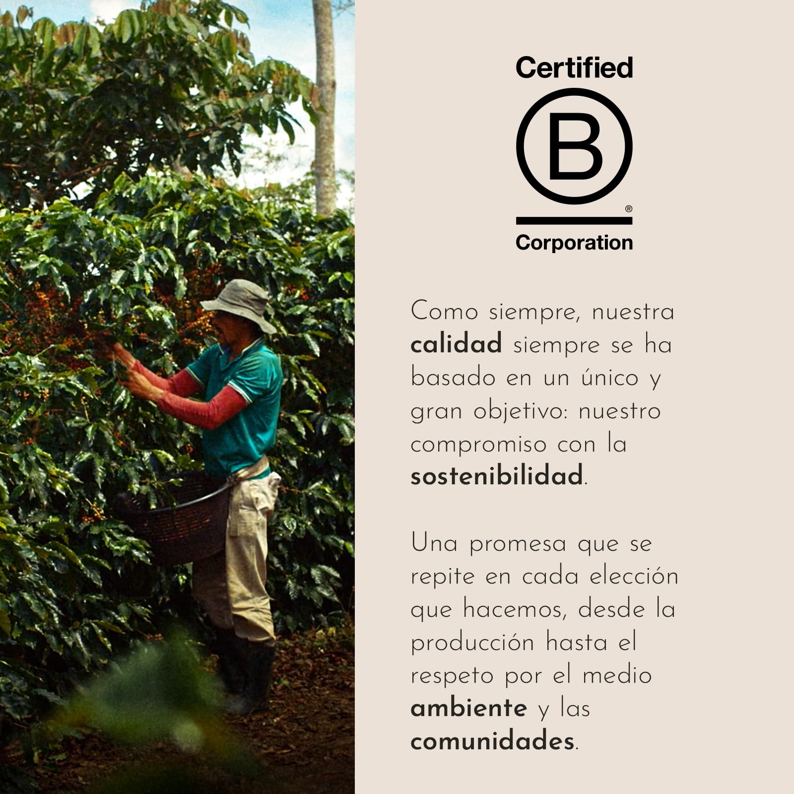 illy, Café en Cápsulas E.S.E CLASSICO Lungo, 216 Cápsulas Compostables | 100% Arábica con Notas de Azahar y Jazmín, Sabor Suave y Sabor Final Dulce, 12 Paquetes de 18