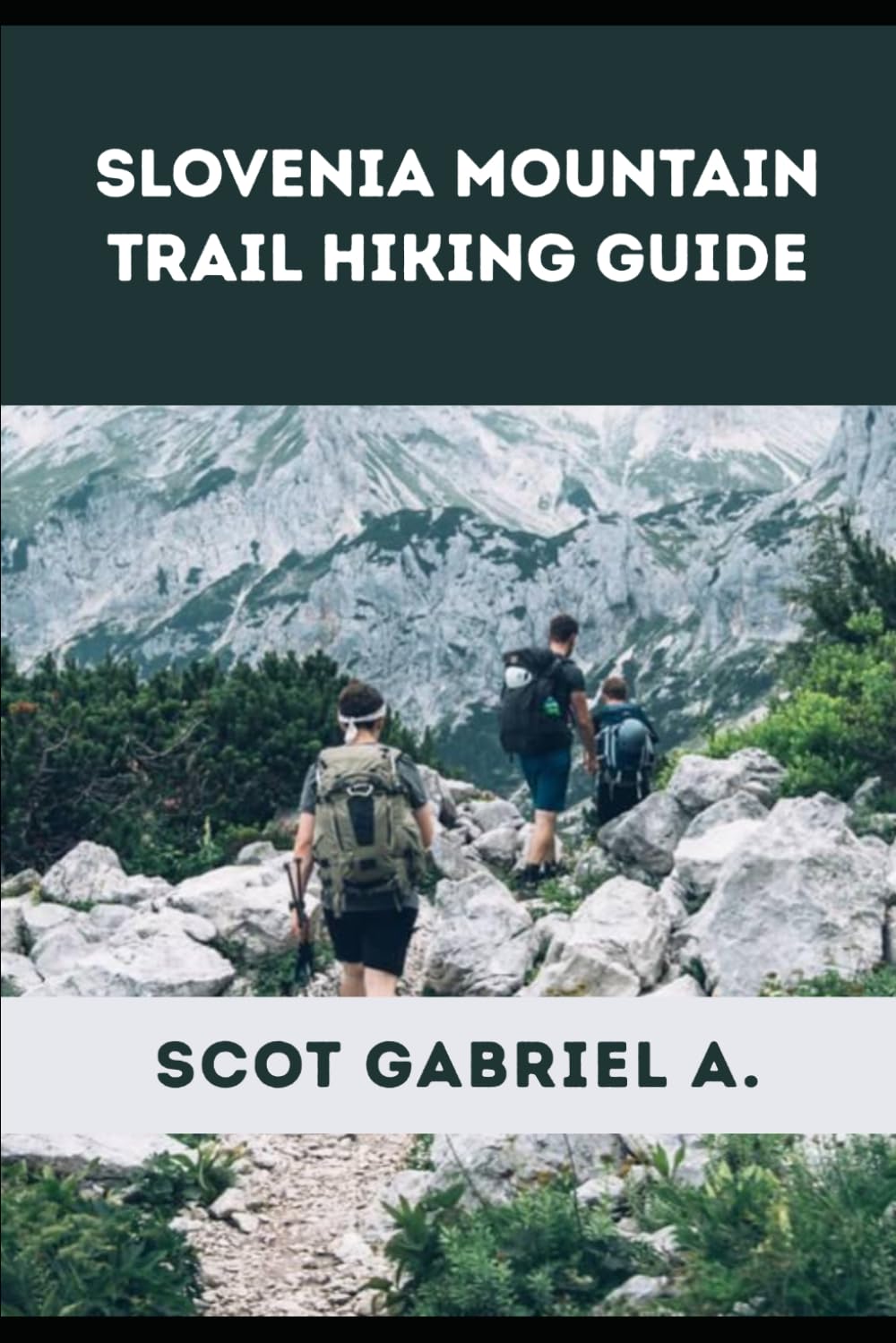 SLOVENIA MOUNTAIN TRAIL HIKING GUIDE: 40 (The Explorer’s Hiking Collection)
