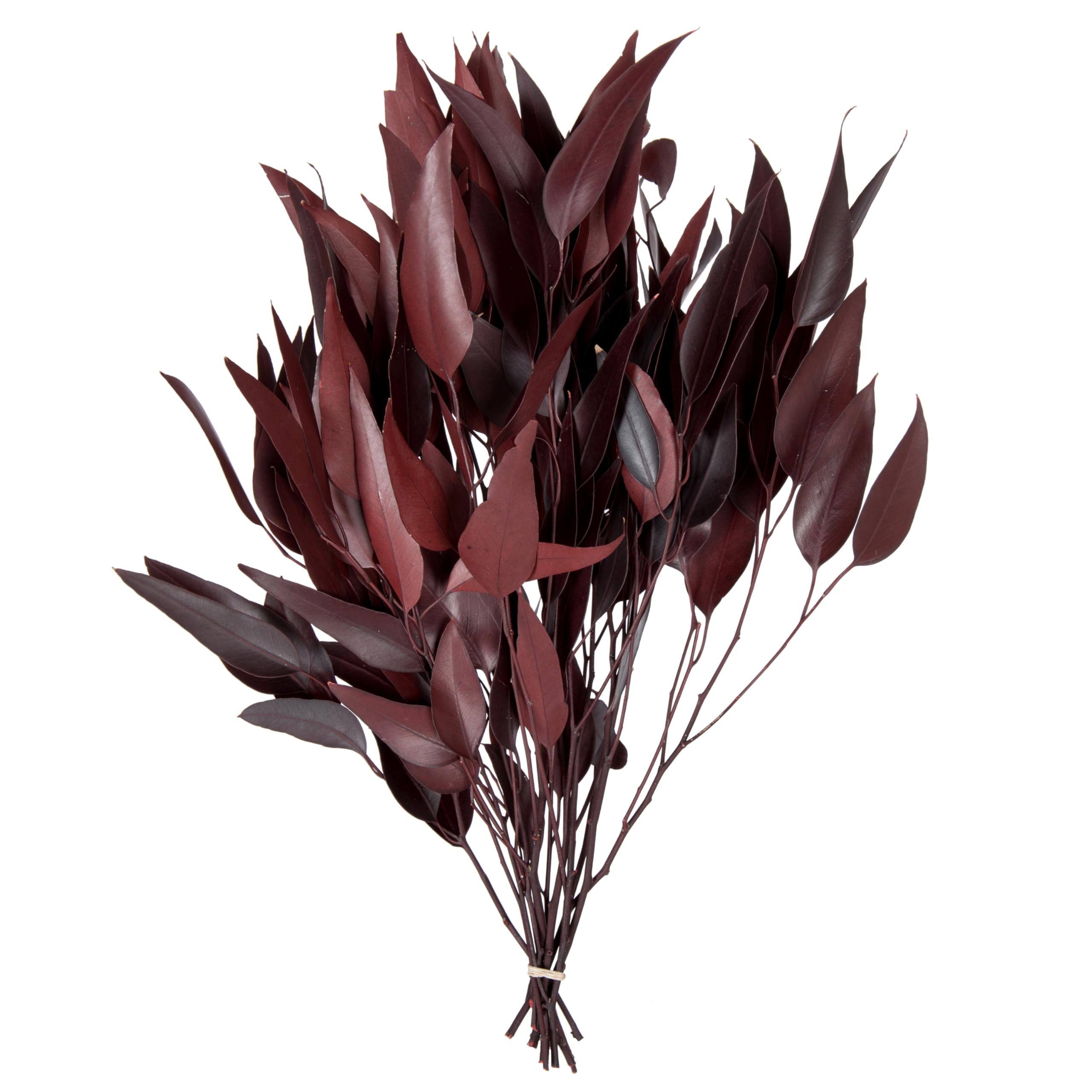Vickerman 18" Red Weeping Willow Eucalyptus - 5-6 oz Per Pack - Red Preserved Foliage Floral Decor - Burgundy Fall Decor - Natural Botanicals -