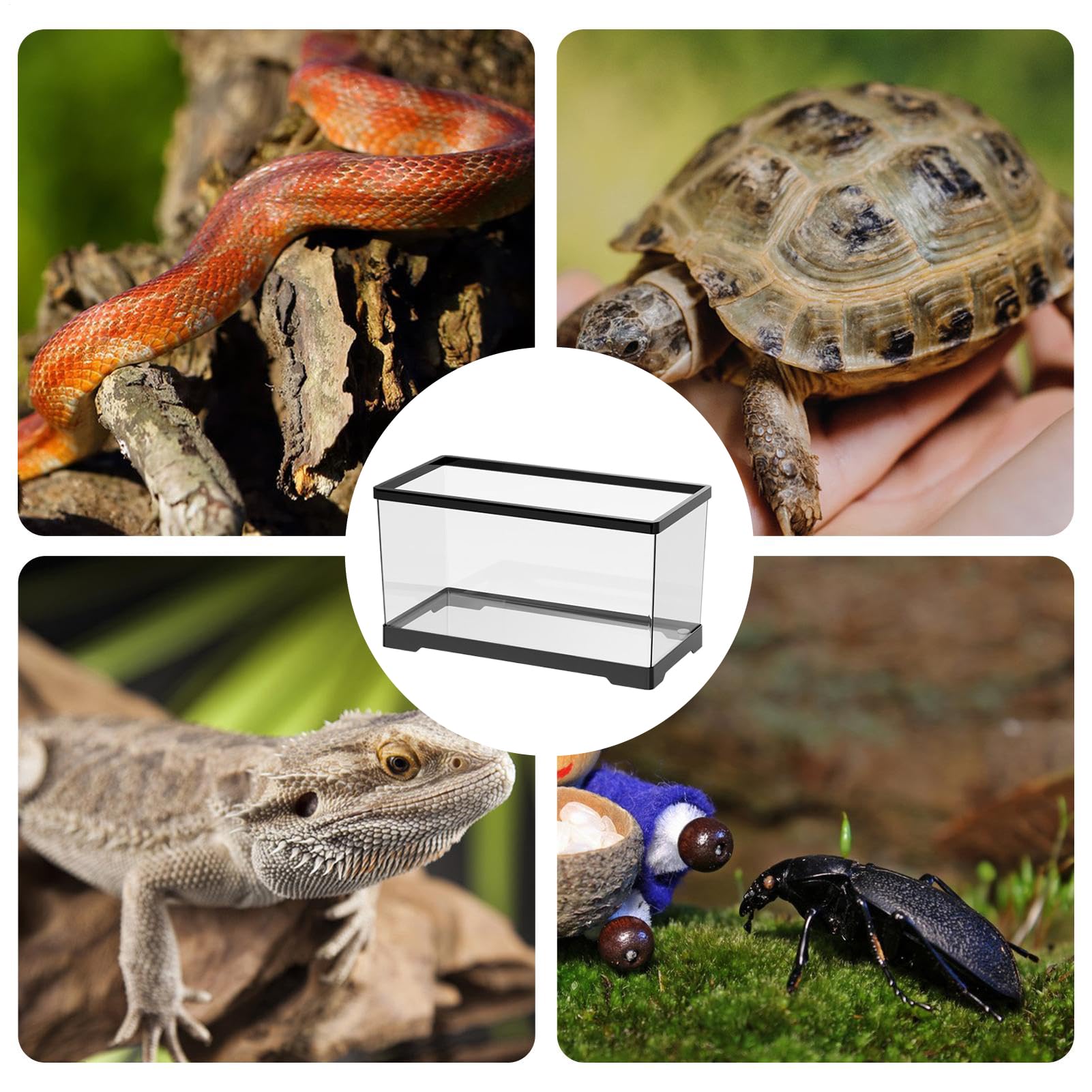 Kit Vasca Per Tartarughe | Terrario Per Rettili Con Di Drenaggio,Terrario Con Drenaggio Inferiore Per Anfibi Rettili Rane Granchi Tartarughe Terrestri Gechi E Paguri