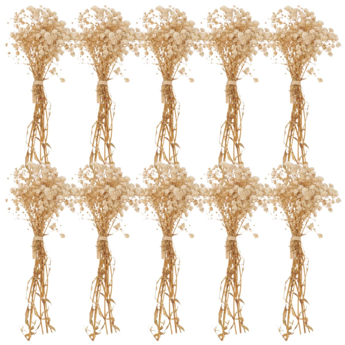 Housoutil Babysbreath Bouquet Delicati 10 Mazzi di Fiori Secchi Realistici Beige senza Manutenzione Decorazione per Tavoli e Davanzali per Casa e Caffè