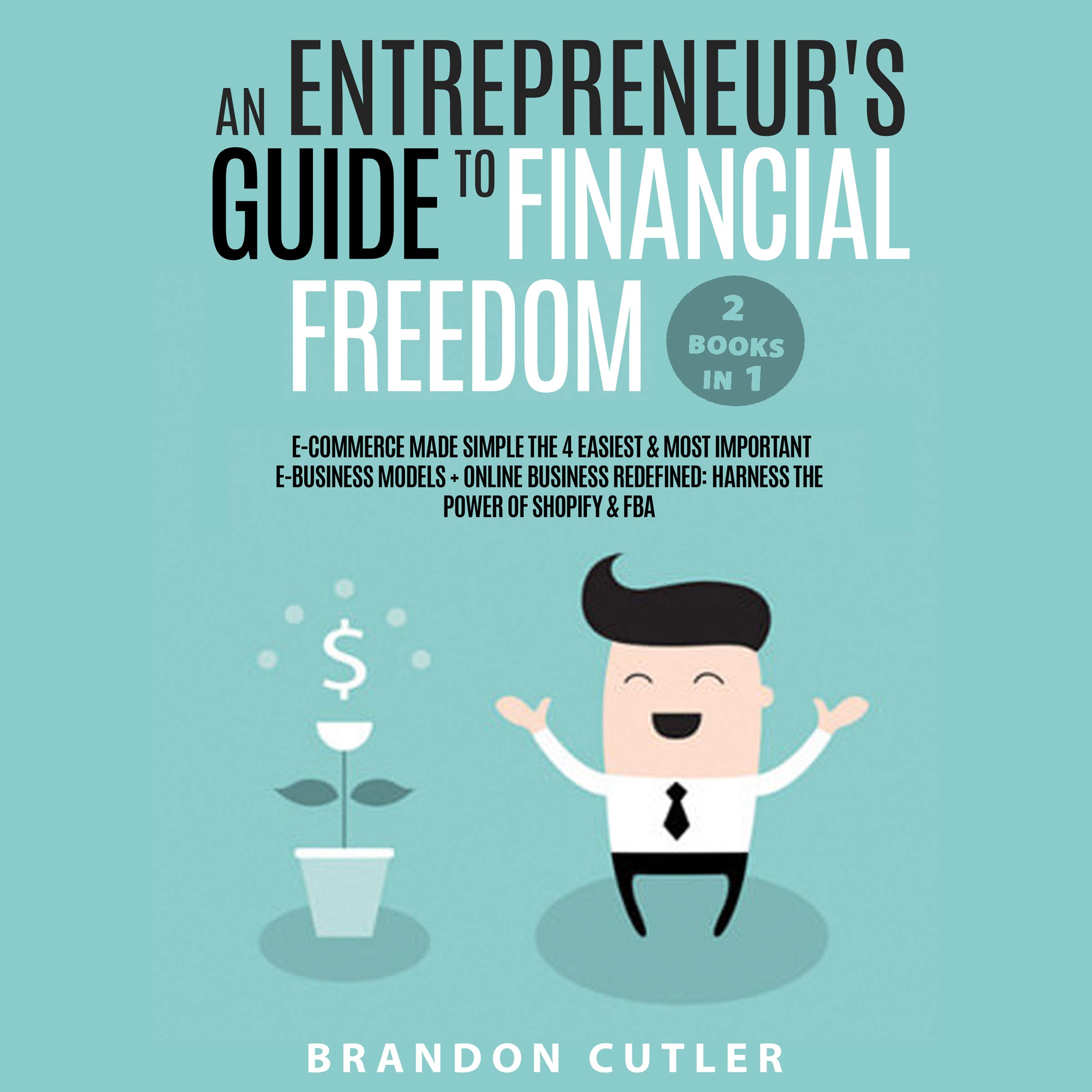 Cover art for An Entrepreneur's Guide to Financial Freedom (2 Books in 1)