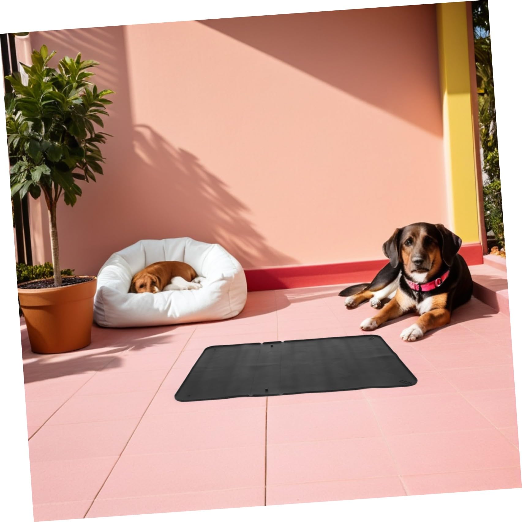 Porta Traversine per Cani in Silicone con Ventose, Tappetino Lavabile Antiscivolo 34" X 25" per Addestramento e Protezione Pareti e Pavimenti