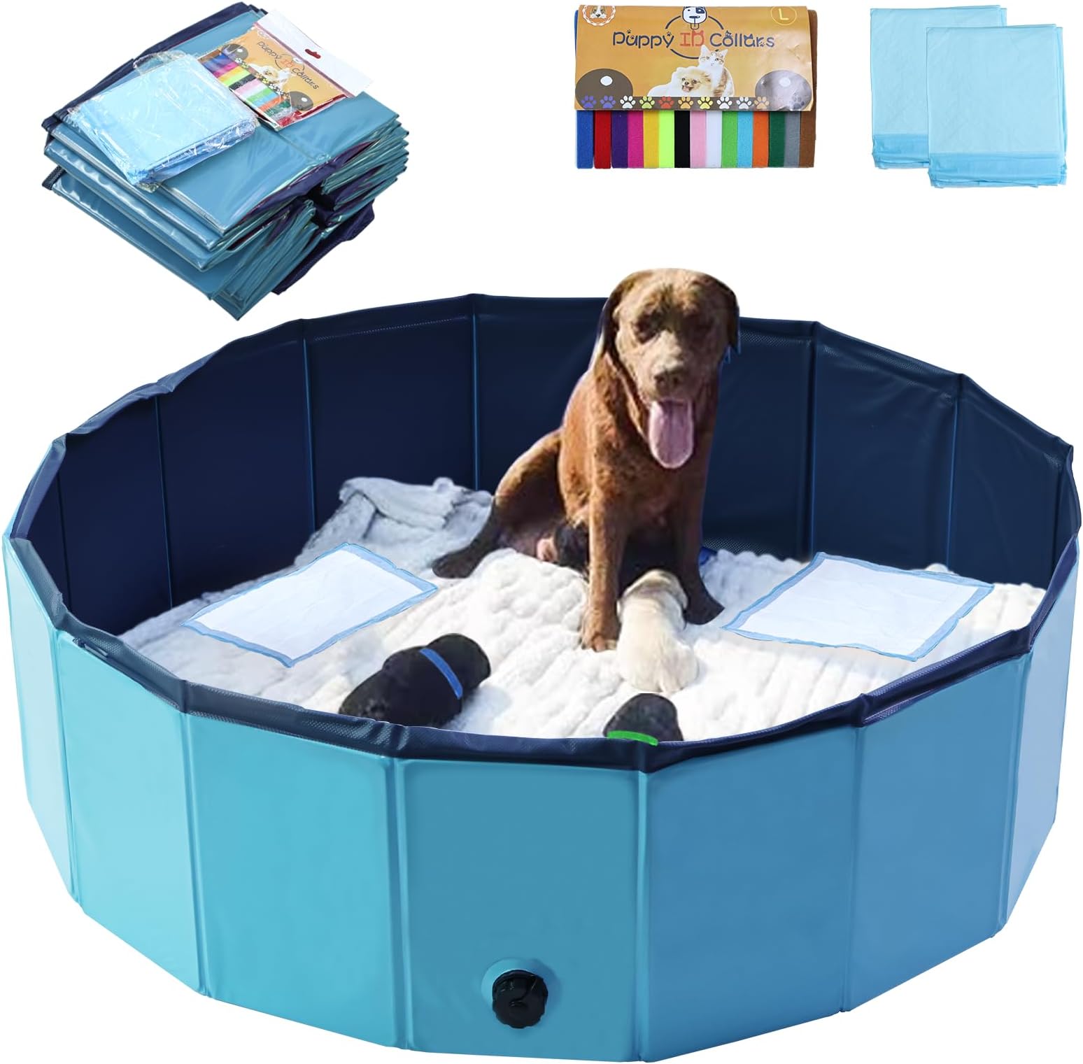 Artilife Dog Whelping Box,Dog Whelping Box Pool,Whelping Box for Dogs Birthing,Welping Box Whelping Pen Whelping Box for Puppies Whelping Supplies (47" Dia.x12 H(120x30cm), Blue)