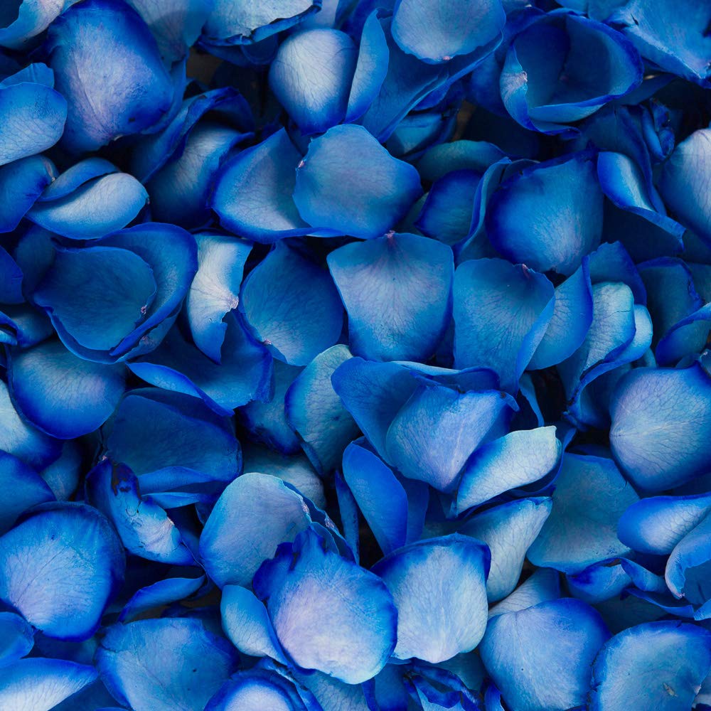 PETALS AND ROSESFreeze Dried Rose Petal Confetti | Natural & Biodegradable for Weddings, Chelsea Blue, 1 Litre