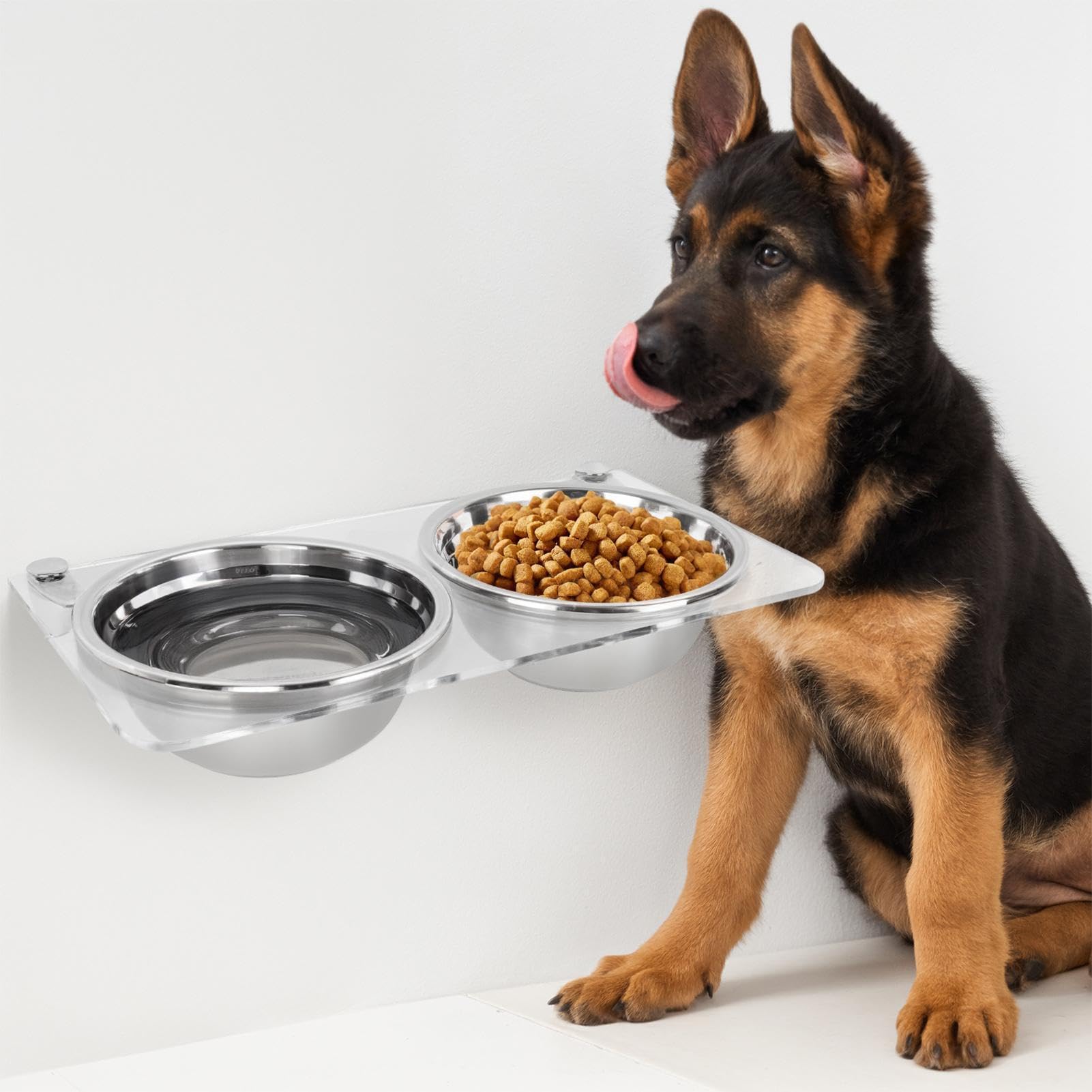 Mangiatoia rialzata per animali domestici, 38,5 x 20 cm, supporto per | ciotole in acrilico da parete, set di doppi in acciaio inossidabile, stazione 'acqua per cibo da appendere, supporto