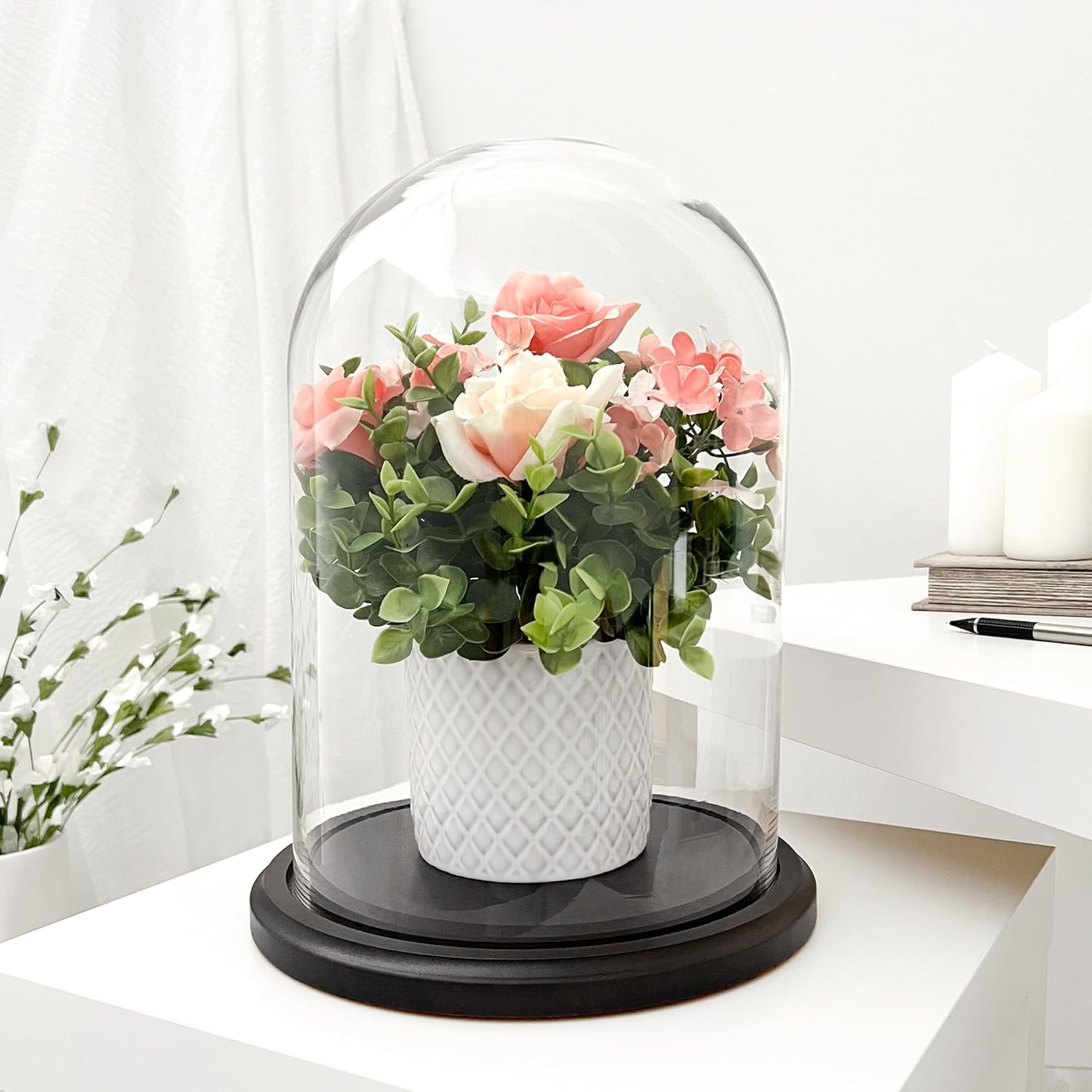 Plymor 8" x 12" Glass Display Dome Cloche (Black MDF Wood Base)