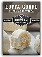 Survival Garden Seeds Luffa Loofah Gourd Seeds - Non-GMO Heirloom Vegetable for Home Garden, Grow Natural Sponges & Ornamental Vines (30 Seeds)