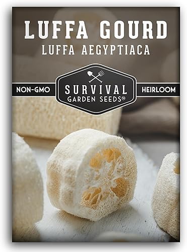 Survival Garden Seeds - Semillas de luffa o lufa para plantar - Paquete con instrucciones para plantar y cultivar calabazas ornamentales en tu