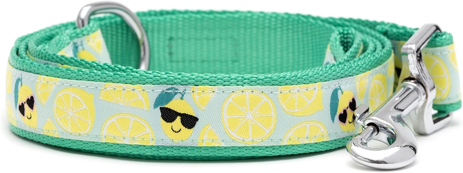 THE WORTHY DOG Lemons Patterned Nylon Leash for Dogs, Stylish, Durable, Woven Ribbon - Lemon Green, Large