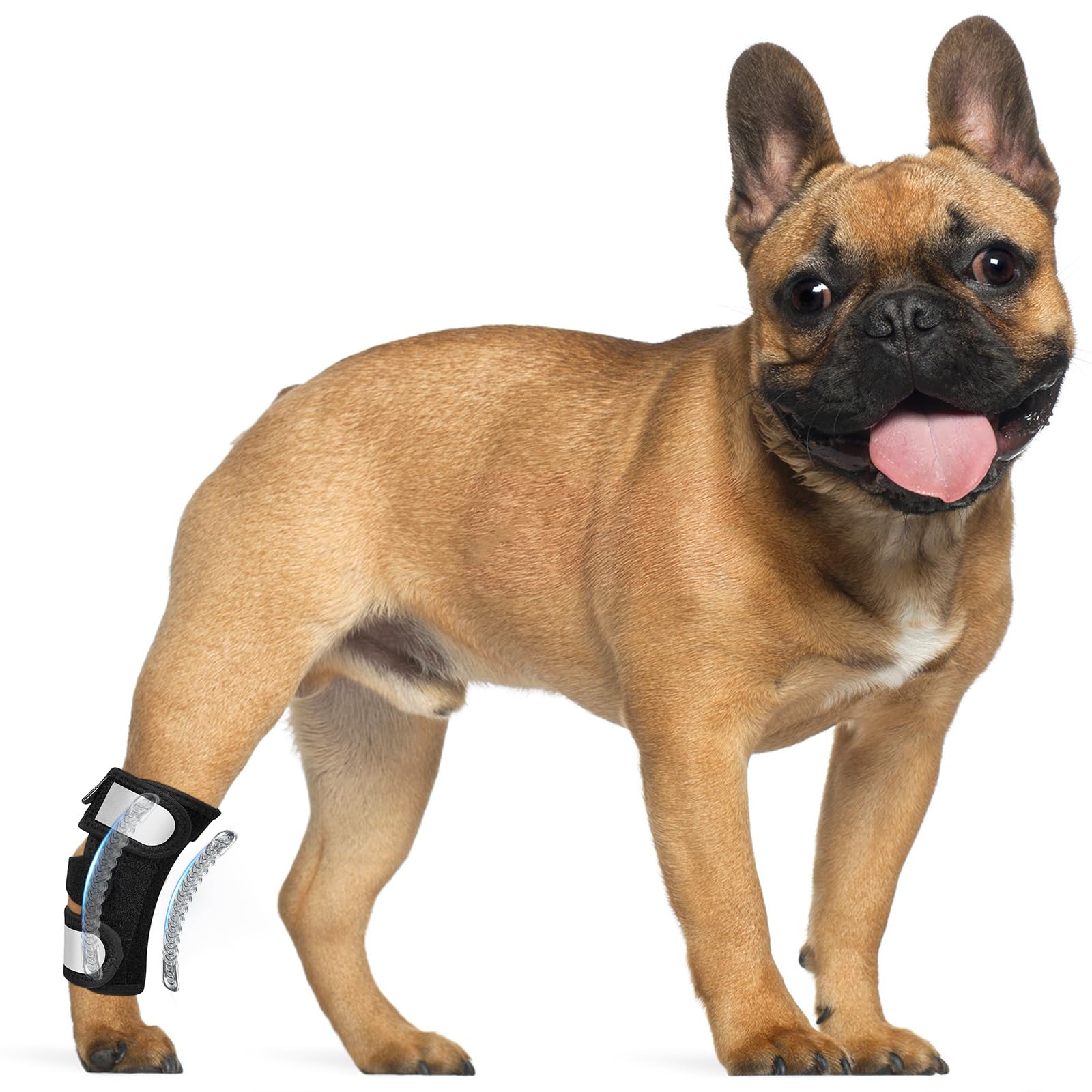 GFKRHPNY Dog Rear Leg Hock Ankle Brace for Torn ACL & CCL, Dog Leg Braces for Back Leg with Metal Spring Inserts, Dog Wrap Brace for Bottom Joint with