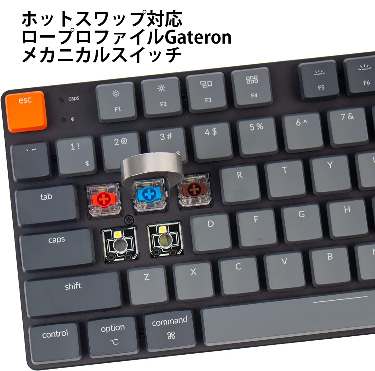 Keychron K1 Gateron茶軸 JIS RGB フルサイズ ロープロ Amazon 