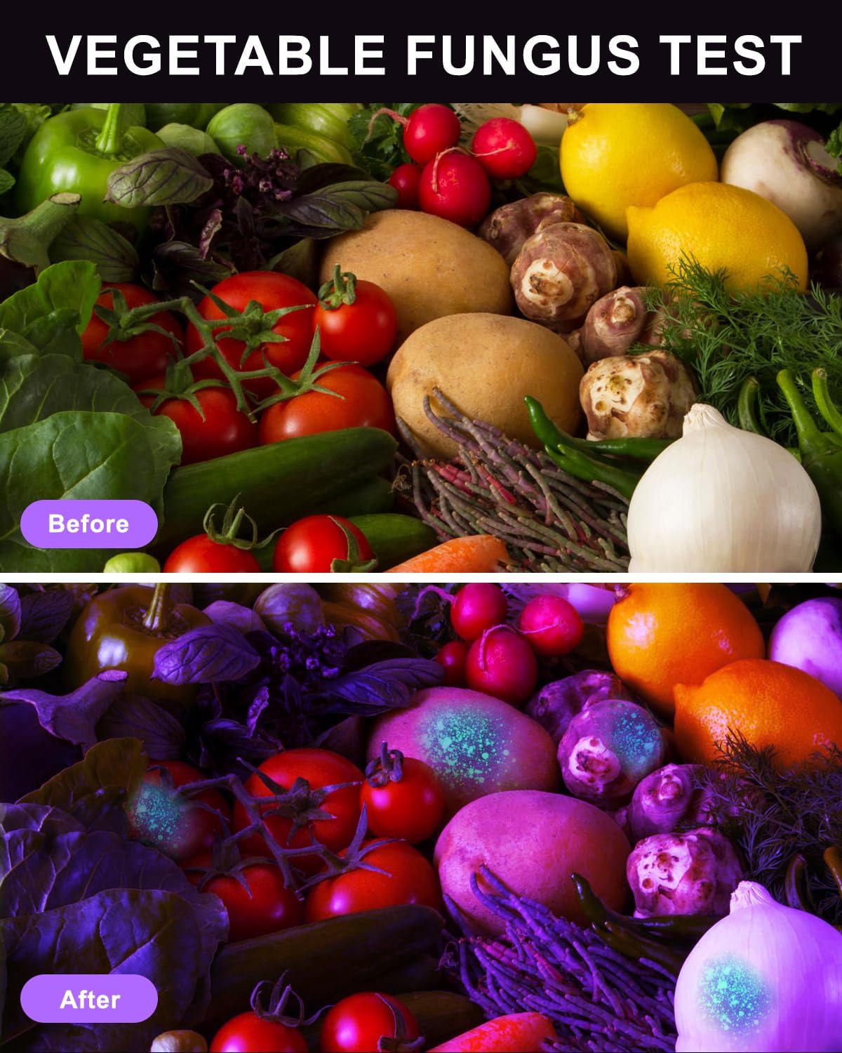 Black Light 60W, Flashlights High Lumen, USB C Rechargeable, 2 Modes Powerful Lights for Pet Urine Detection, Resin Curing, Minerals, Blood Tracking, AC Leak