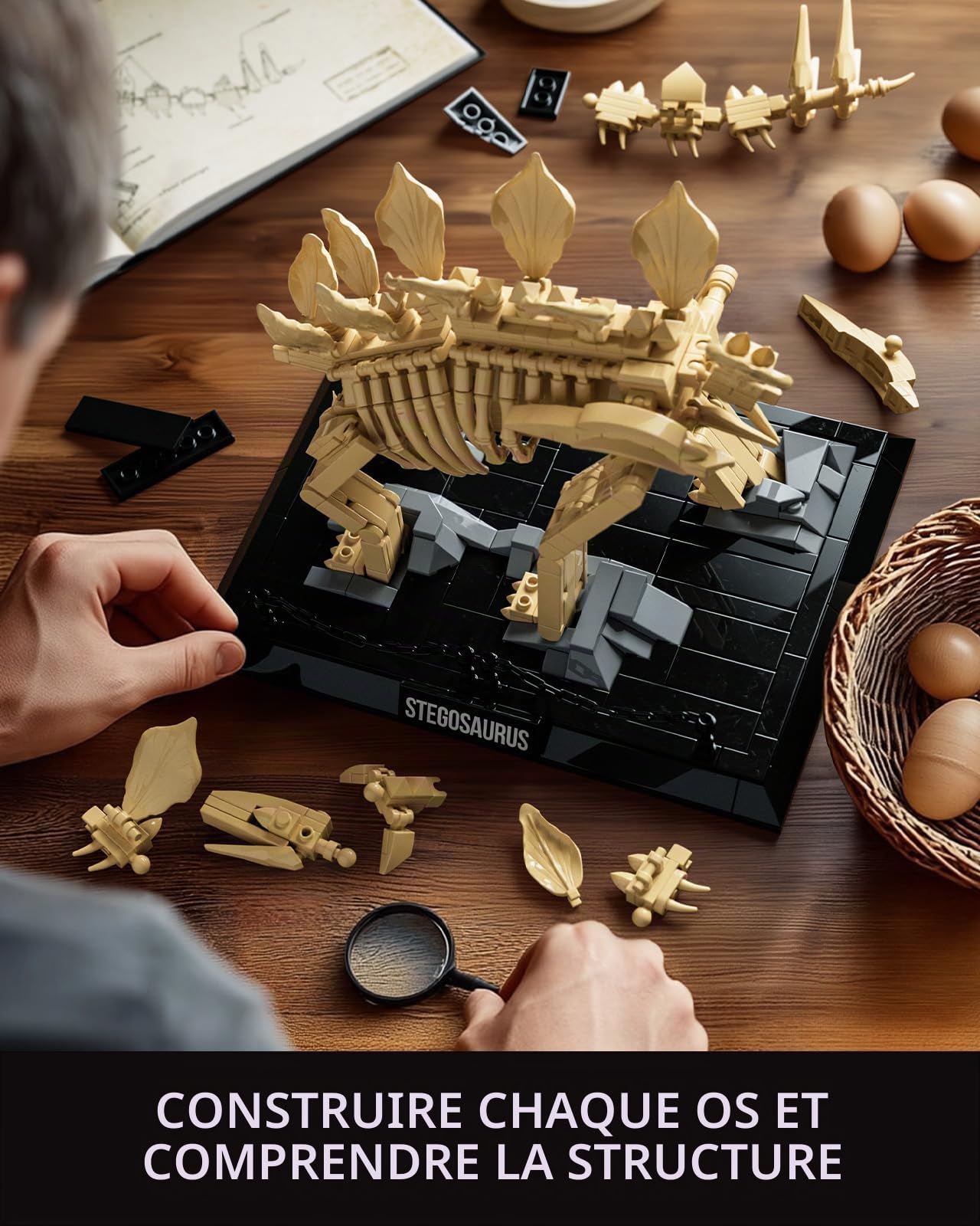 Nifeliz Fossiles de Dinosaures Le Crâne du Stegosaurus Set de Construction pour Adultes, 665 Pièces