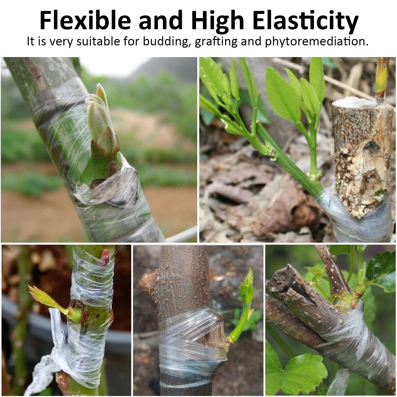 Annhao 2 Rotoli Stretchable Giardinaggio, Film Innesto, Adesivo per innesto, Nastri per Innesto, Nastri in Crescita Innesto da Giardino per Innesto Riparazioni di Piante Alberi Frutta (100m x 2cm)