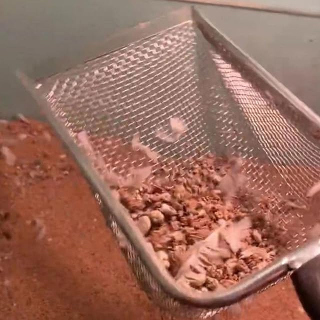 Foto 5 de 8 de Pala para esparcir gatos, pala de metal, pala de metal para excrementos, pala profunda con mango largo
