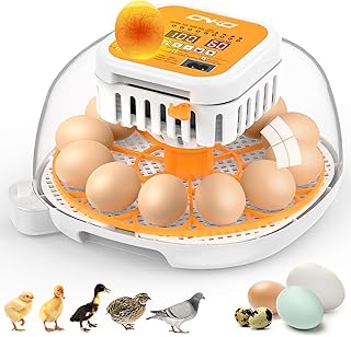 ONKO 12 Egg Incubator with Auto Temp & Humidity Control for Home, Farm, Classroom, Auto Egg Turner & Stop, External Water Refill, Air Vent, 360° Clear View, Hatching Chicken, Duck, Goose, Pigeon Eggs