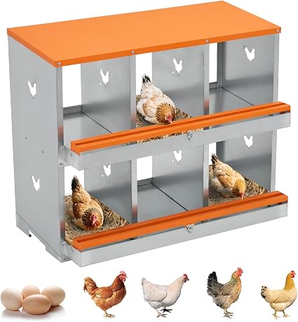 Amazon.com: GarveeTech Chicken Nesting Box for Laying Eggs, 6 ...