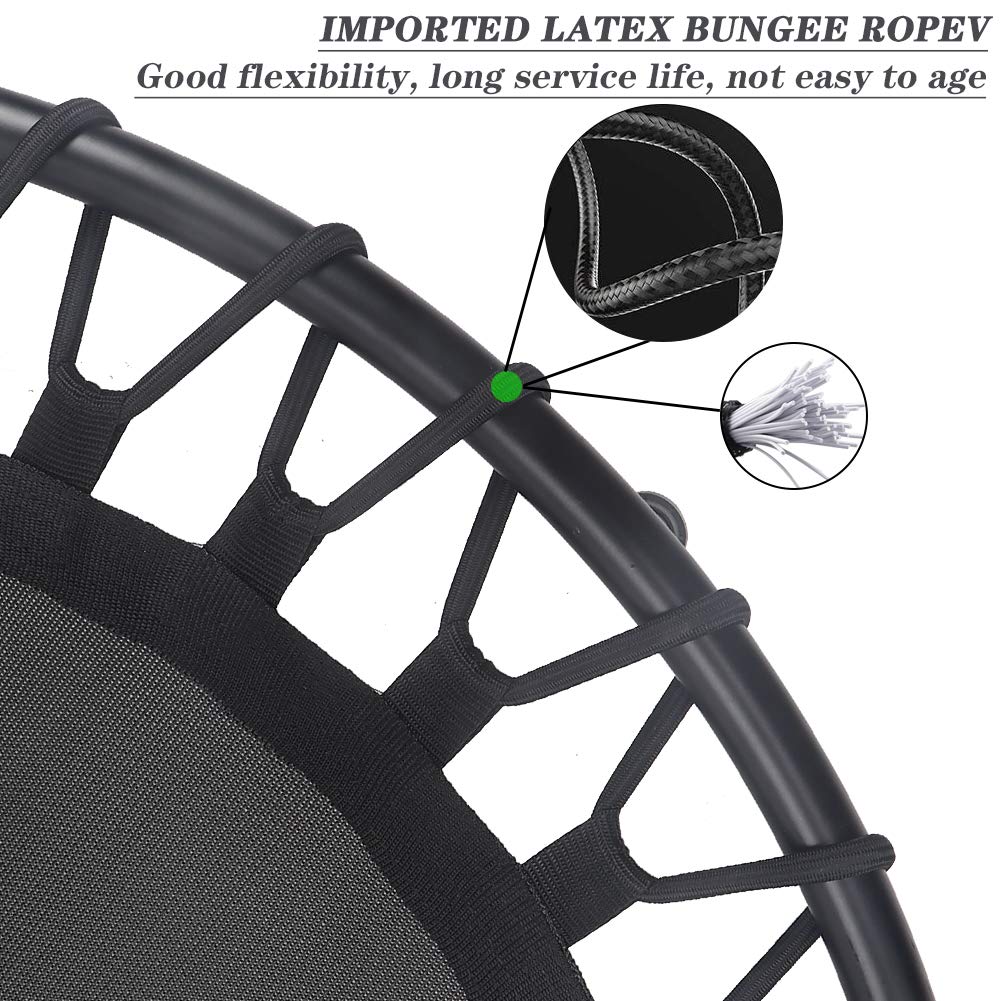 Newan Mini-Trampolin Mit Armlehne – Leise, Bis 150 Kg, 122 Cm, Bungee-Seile