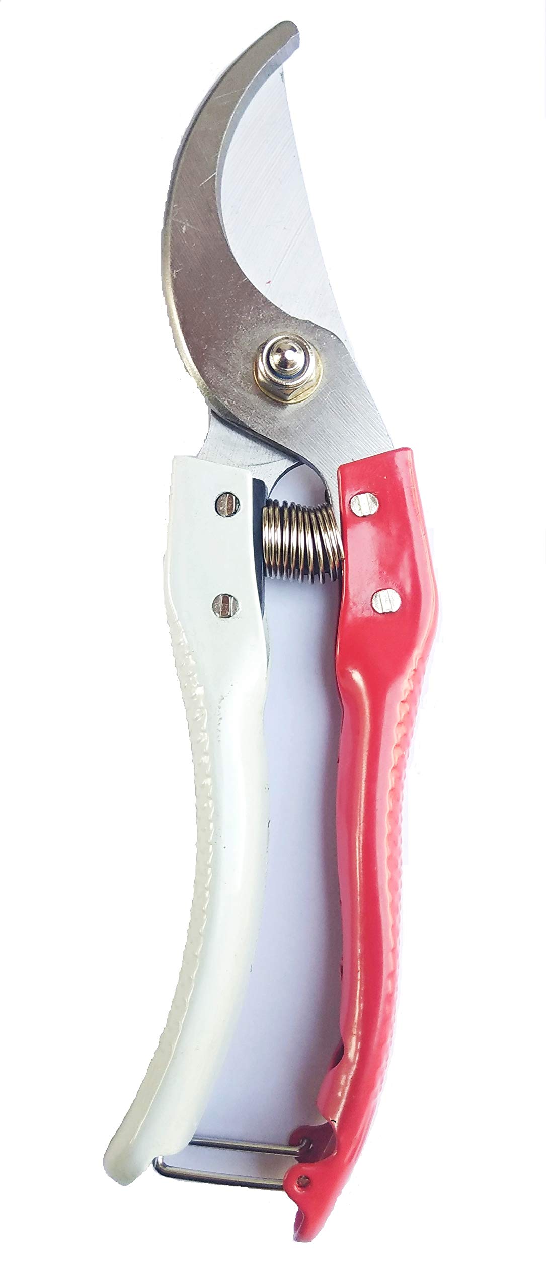 S.K.INTERNATIONAL Imported Bypass Pruner 8 with High Standard Carbon Steel" (B07N7MBGYX) Amazon Price History, Amazon Price Tracker