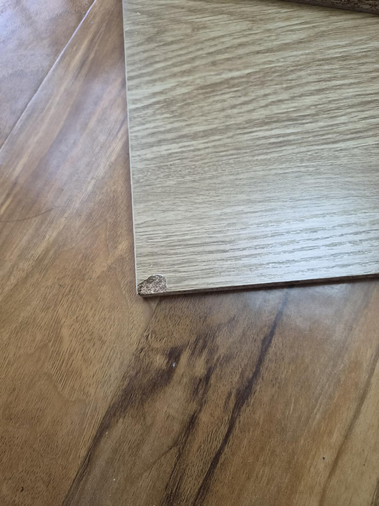 Customer photo